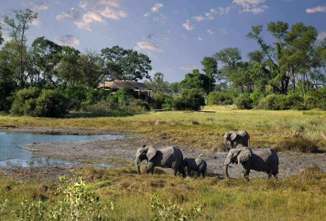 Delta Okavango