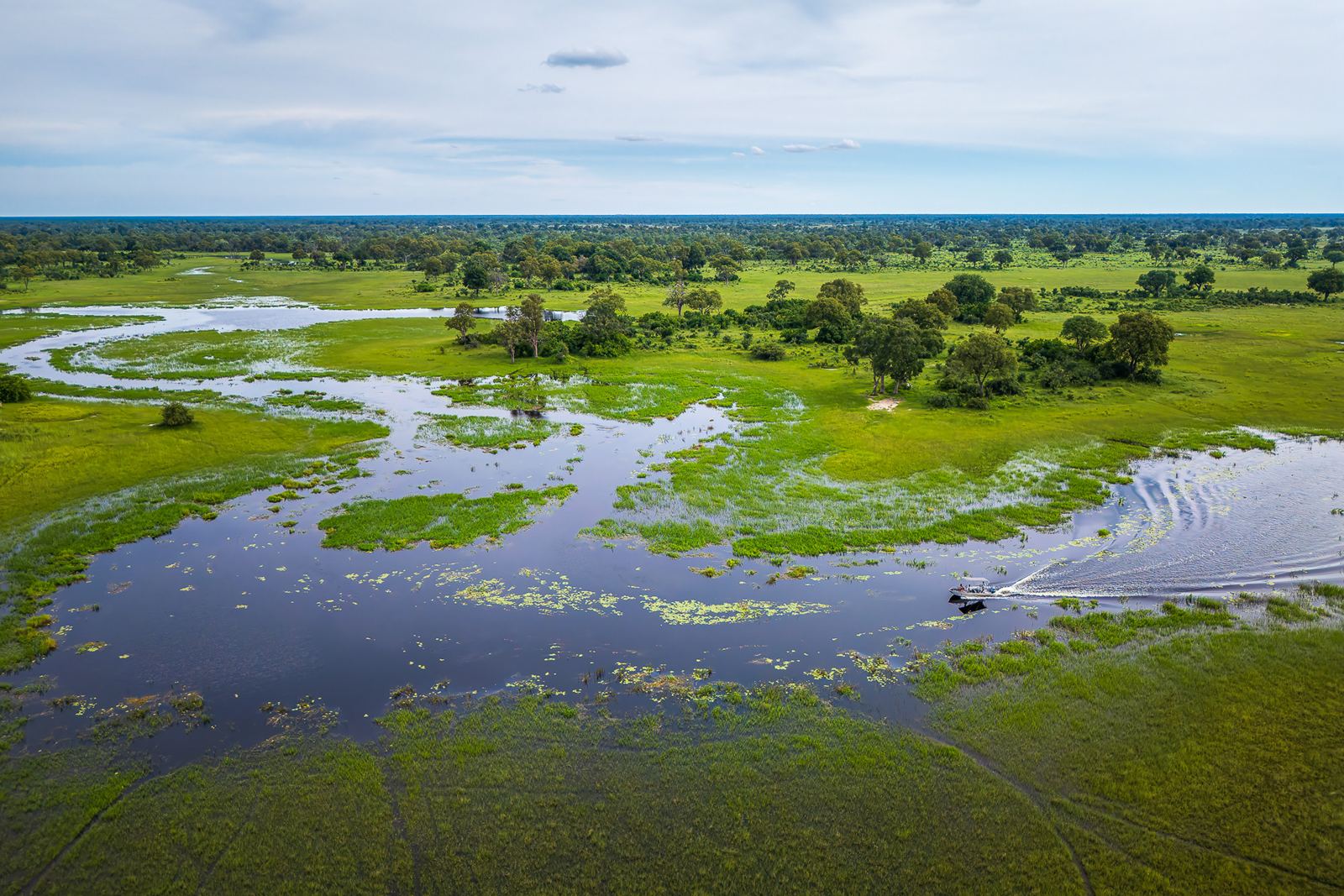 Karangoma en Delta Okavango