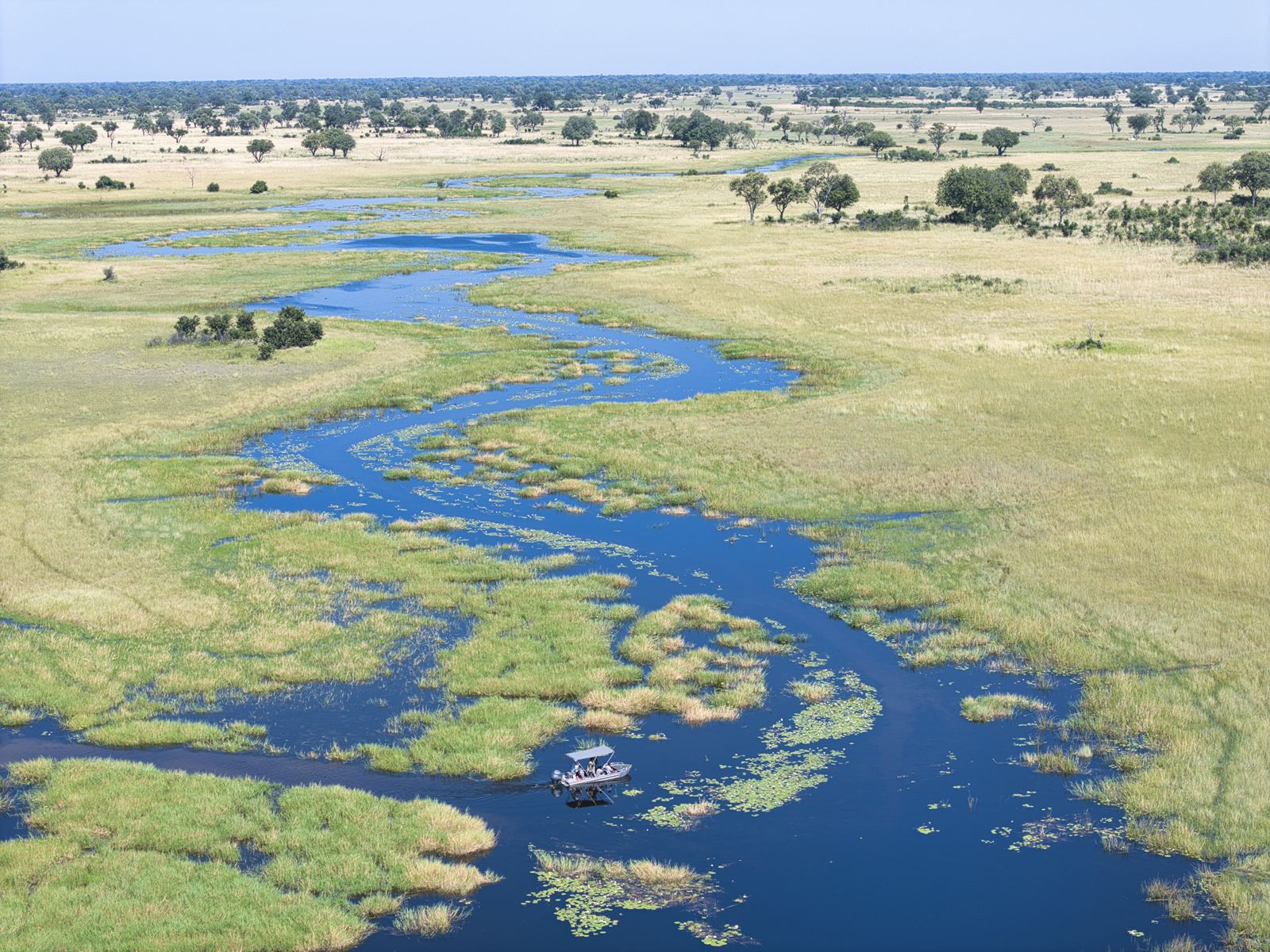 Karangoma en Delta Okavango