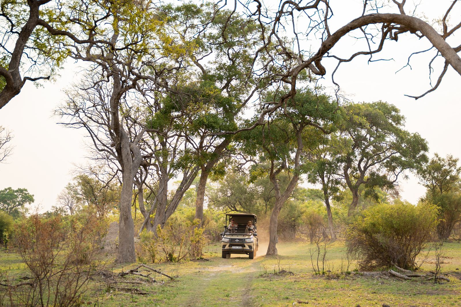 Karangoma en Delta Okavango