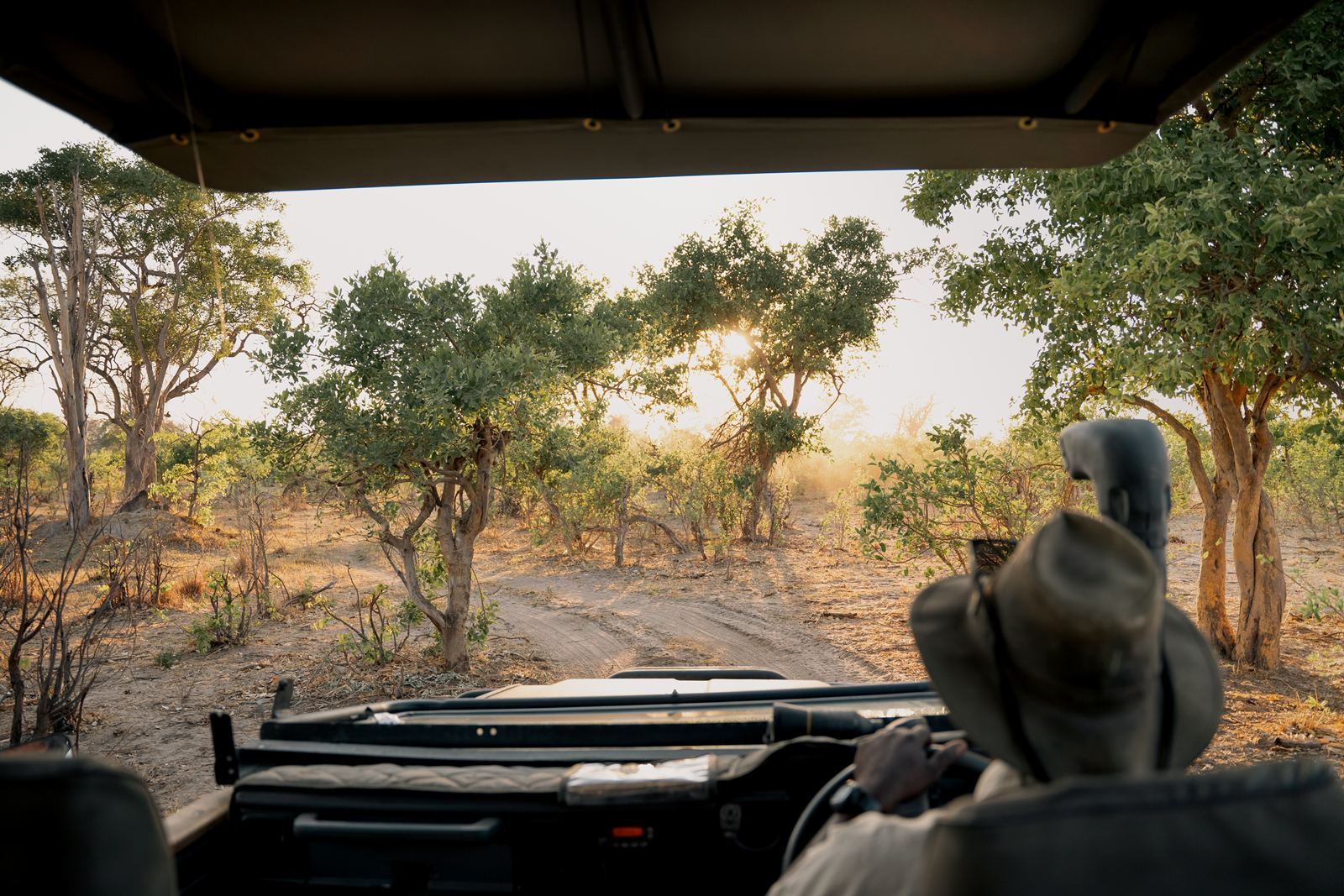 Karangoma en Delta Okavango