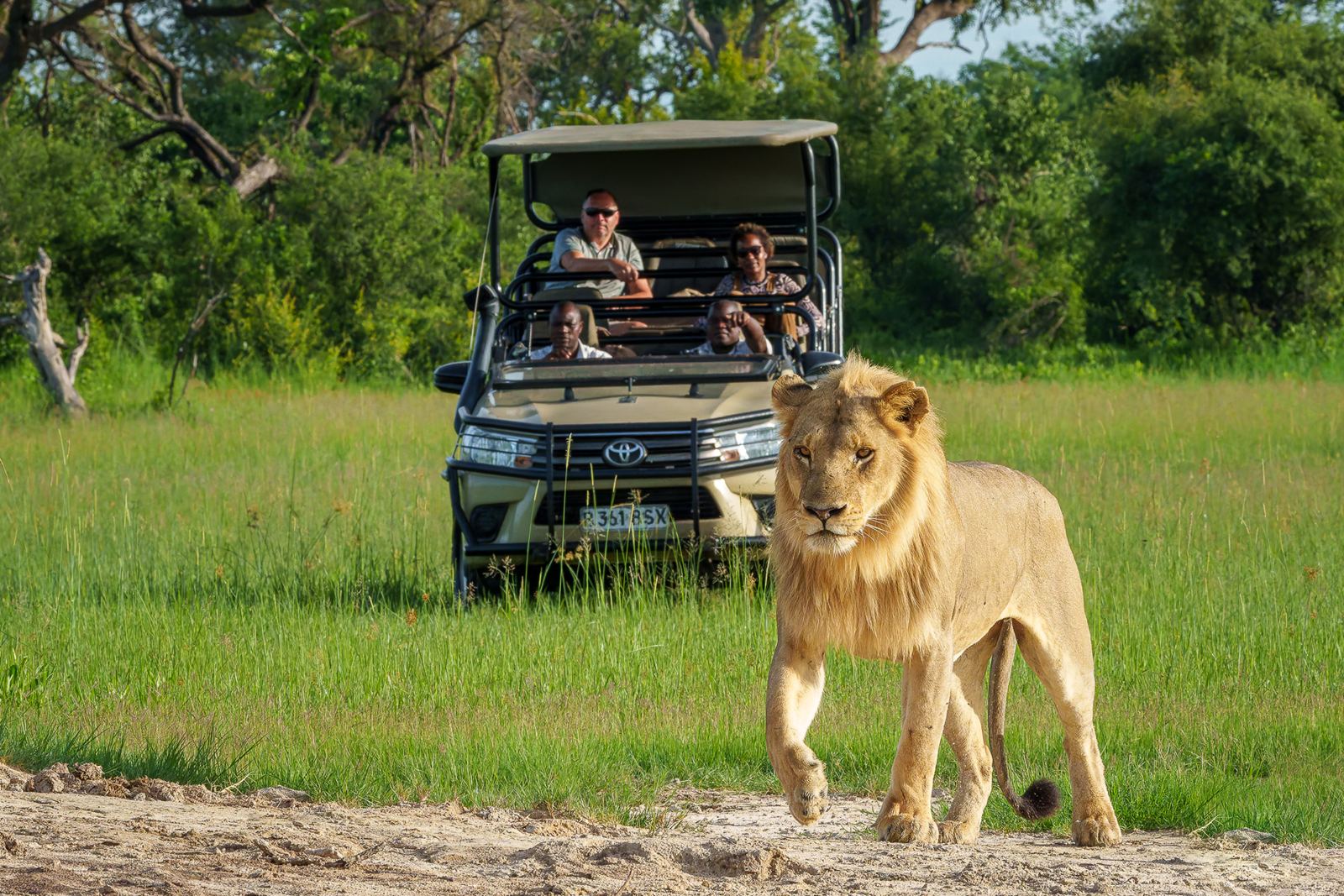 Karangoma en Delta Okavango