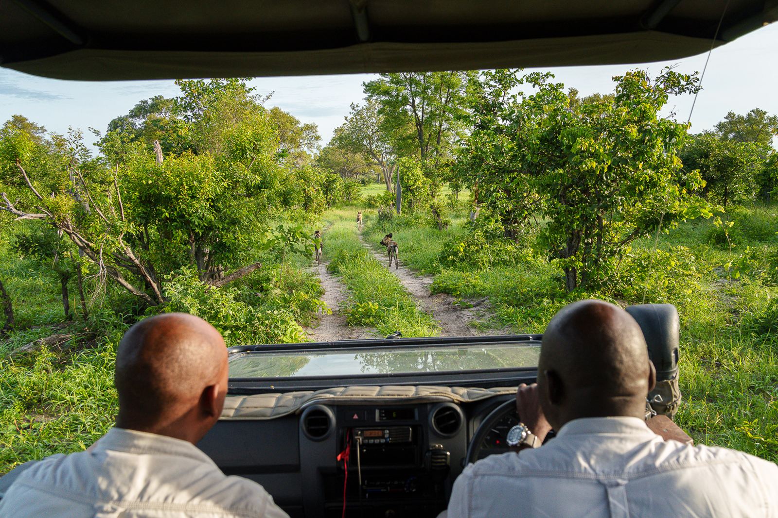 Karangoma en Delta Okavango