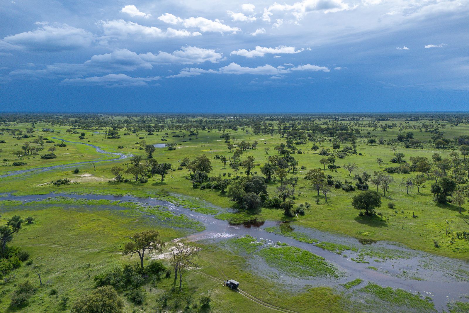 Karangoma en Delta Okavango
