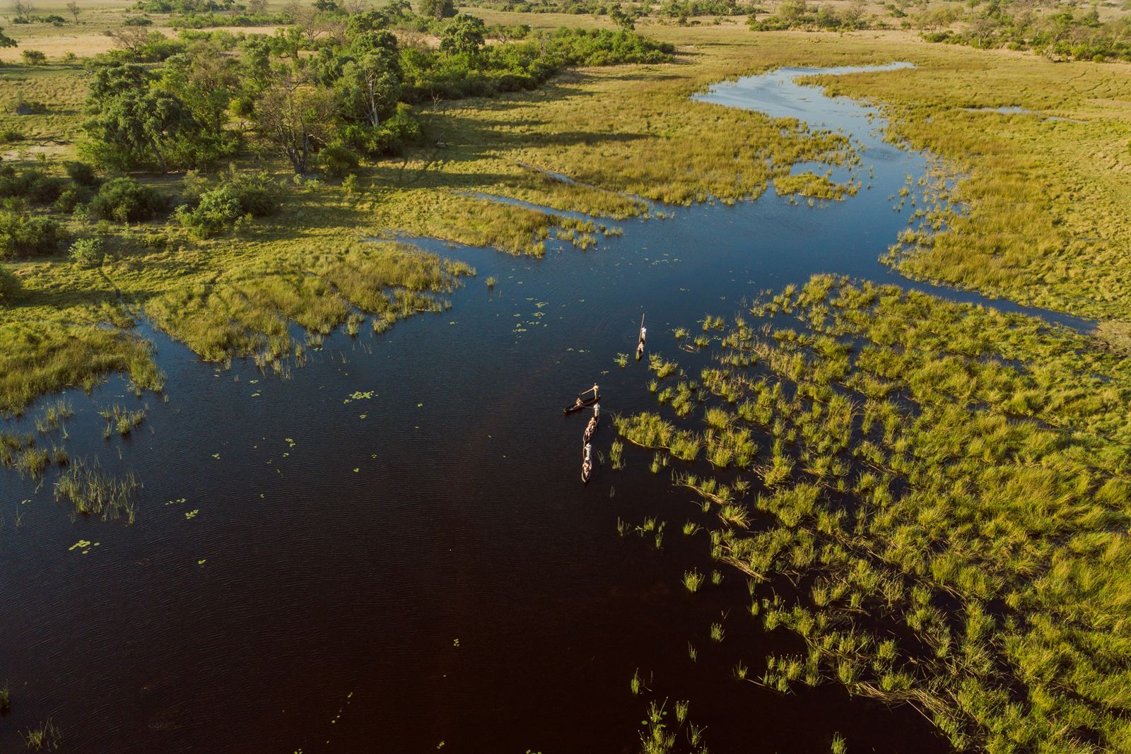 Karangoma en Delta Okavango