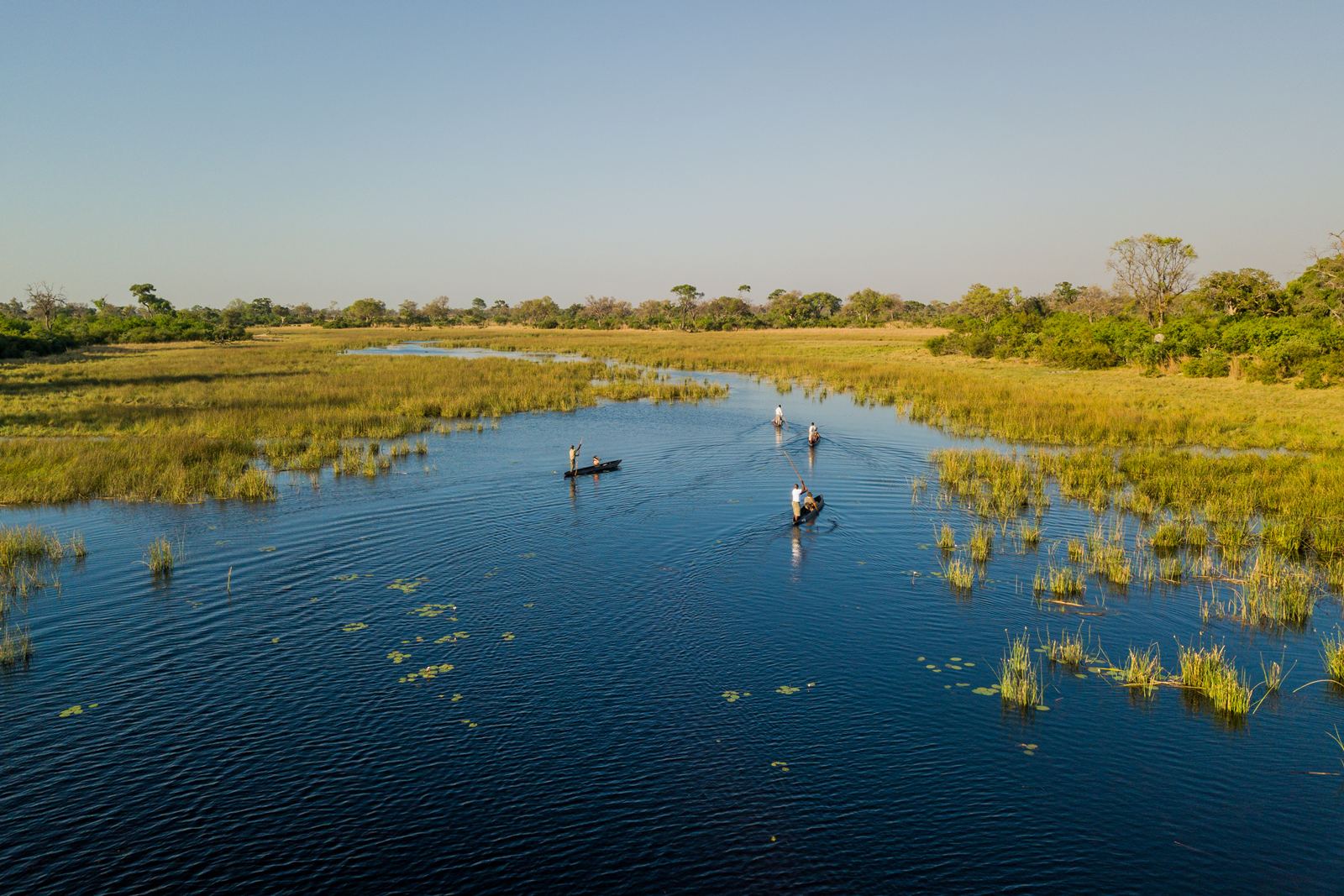 Karangoma en Delta Okavango