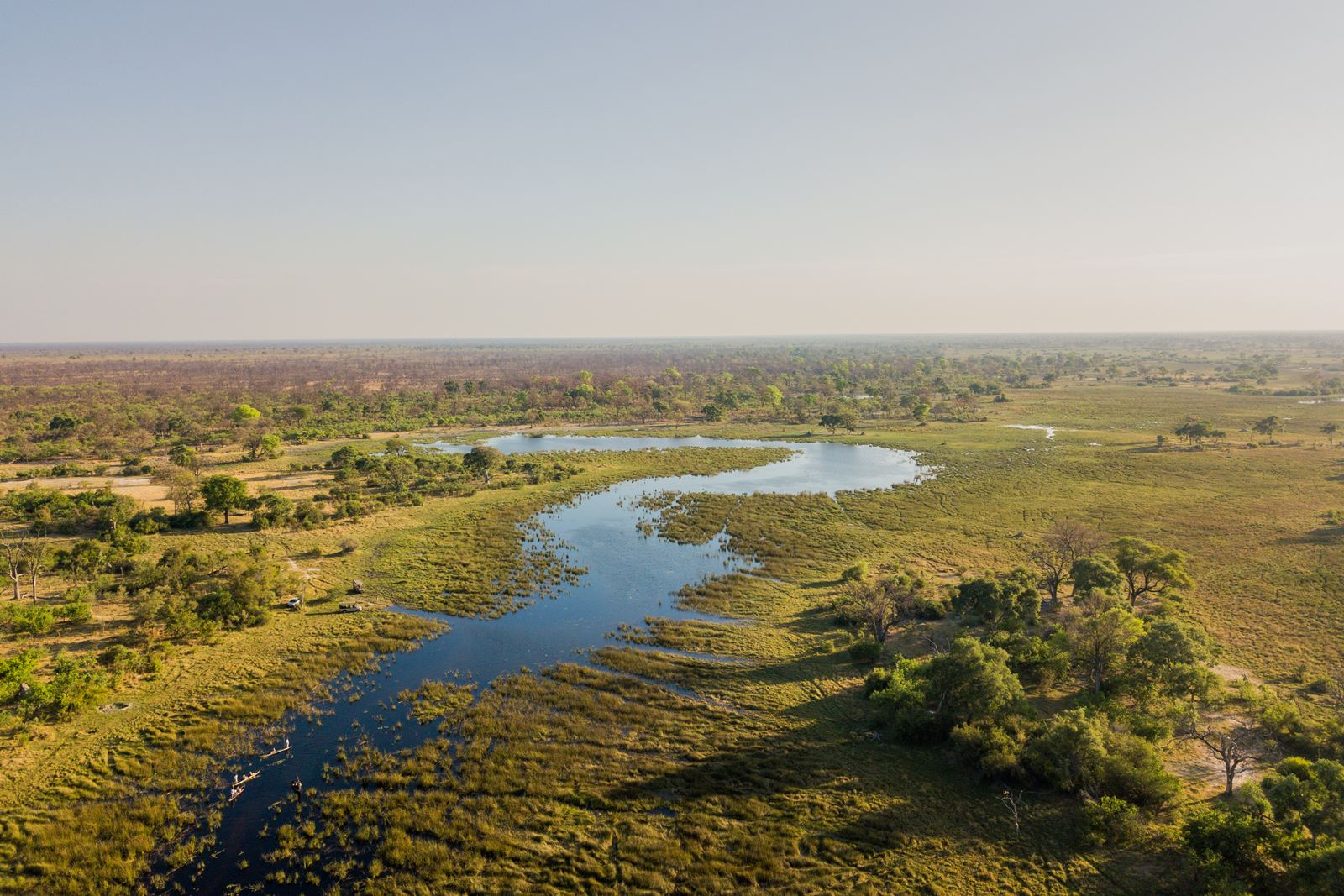 Karangoma en Delta Okavango
