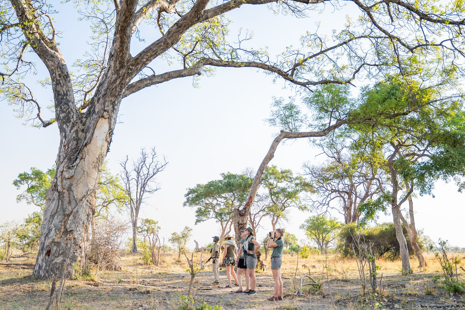 Karangoma en Delta Okavango