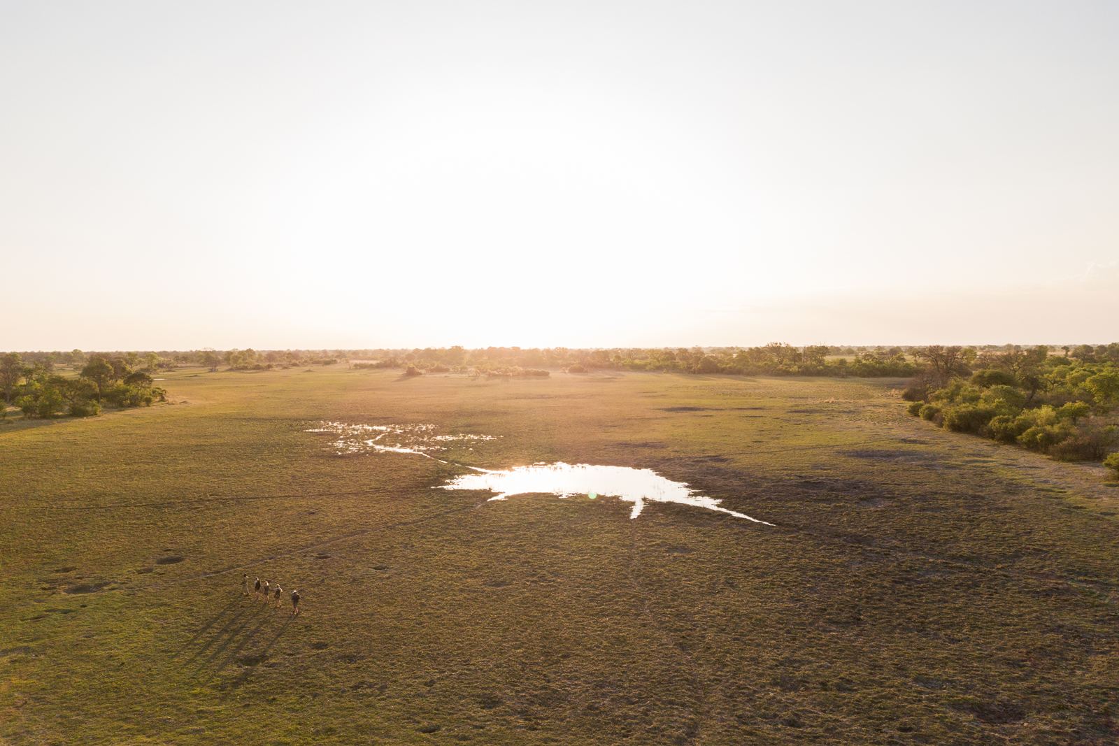 Karangoma en Delta Okavango