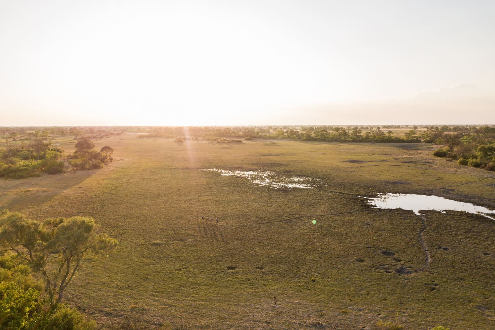 Karangoma en Delta Okavango