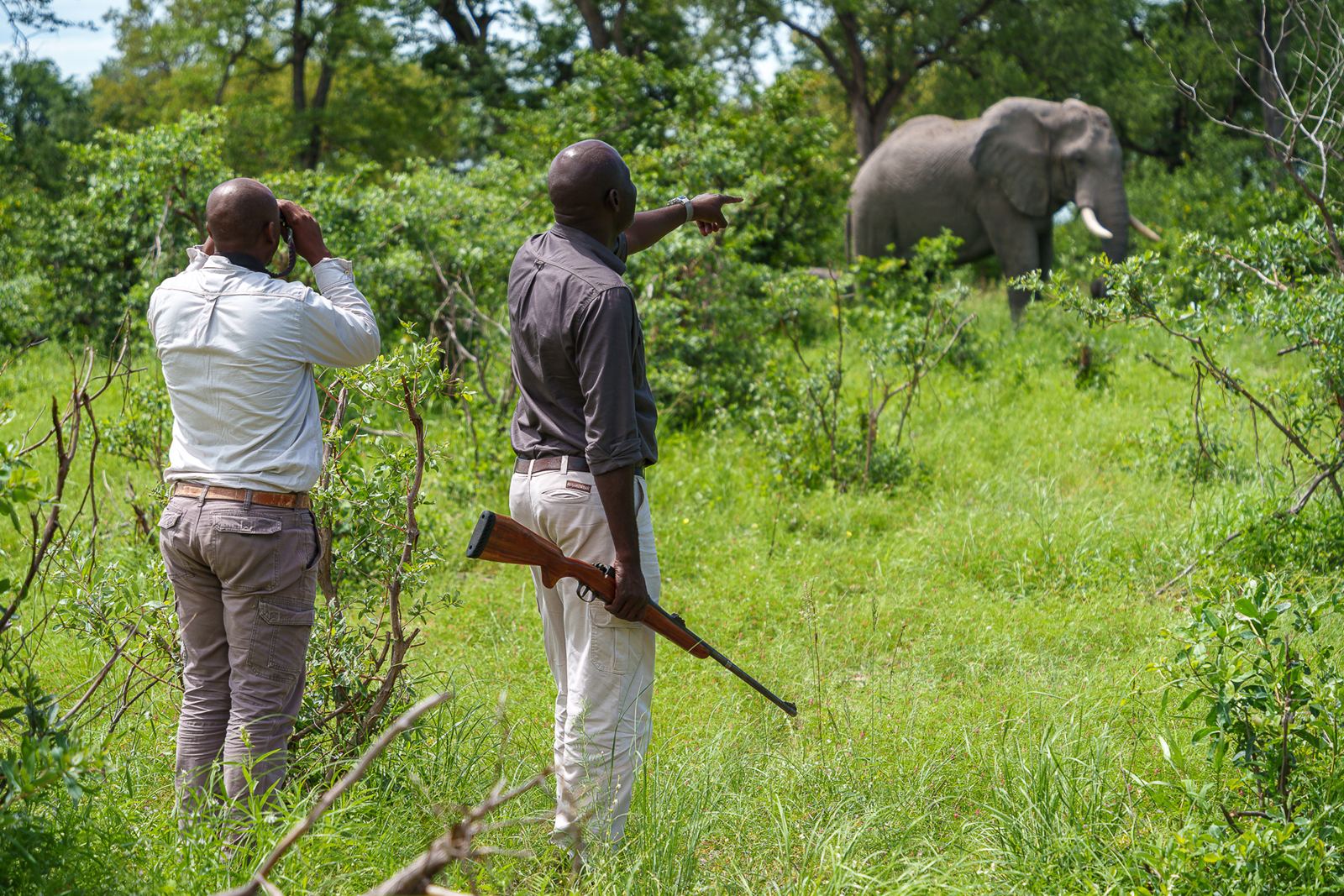 Karangoma en Delta Okavango