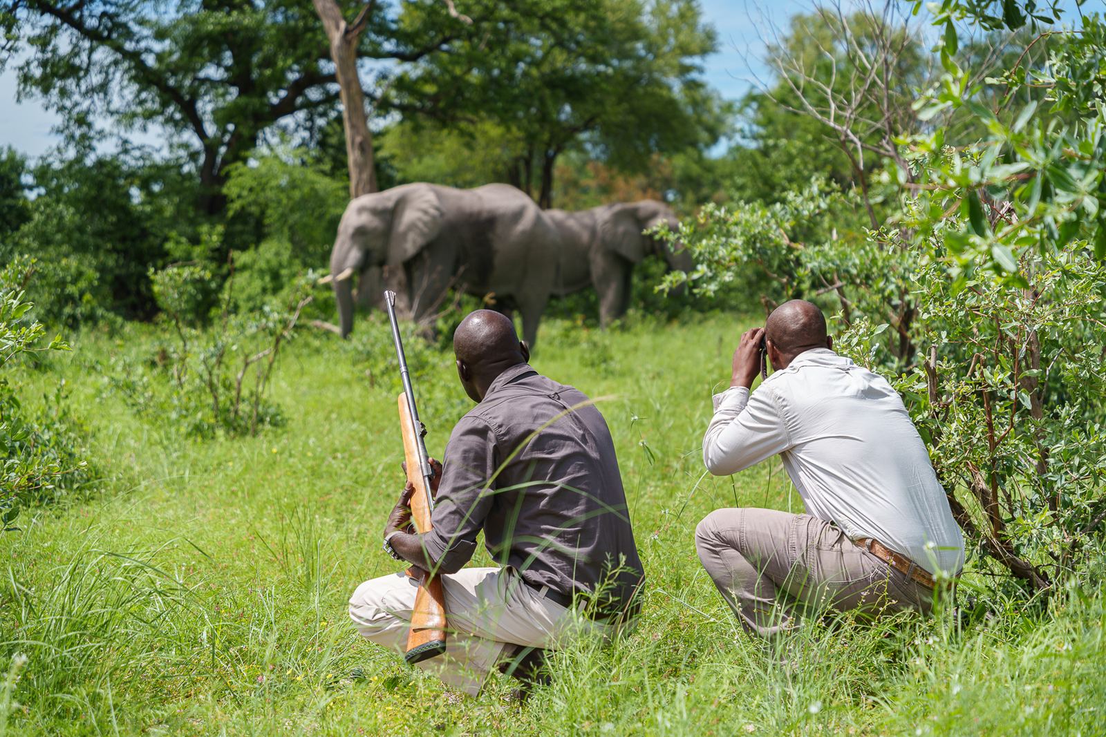 Karangoma en Delta Okavango