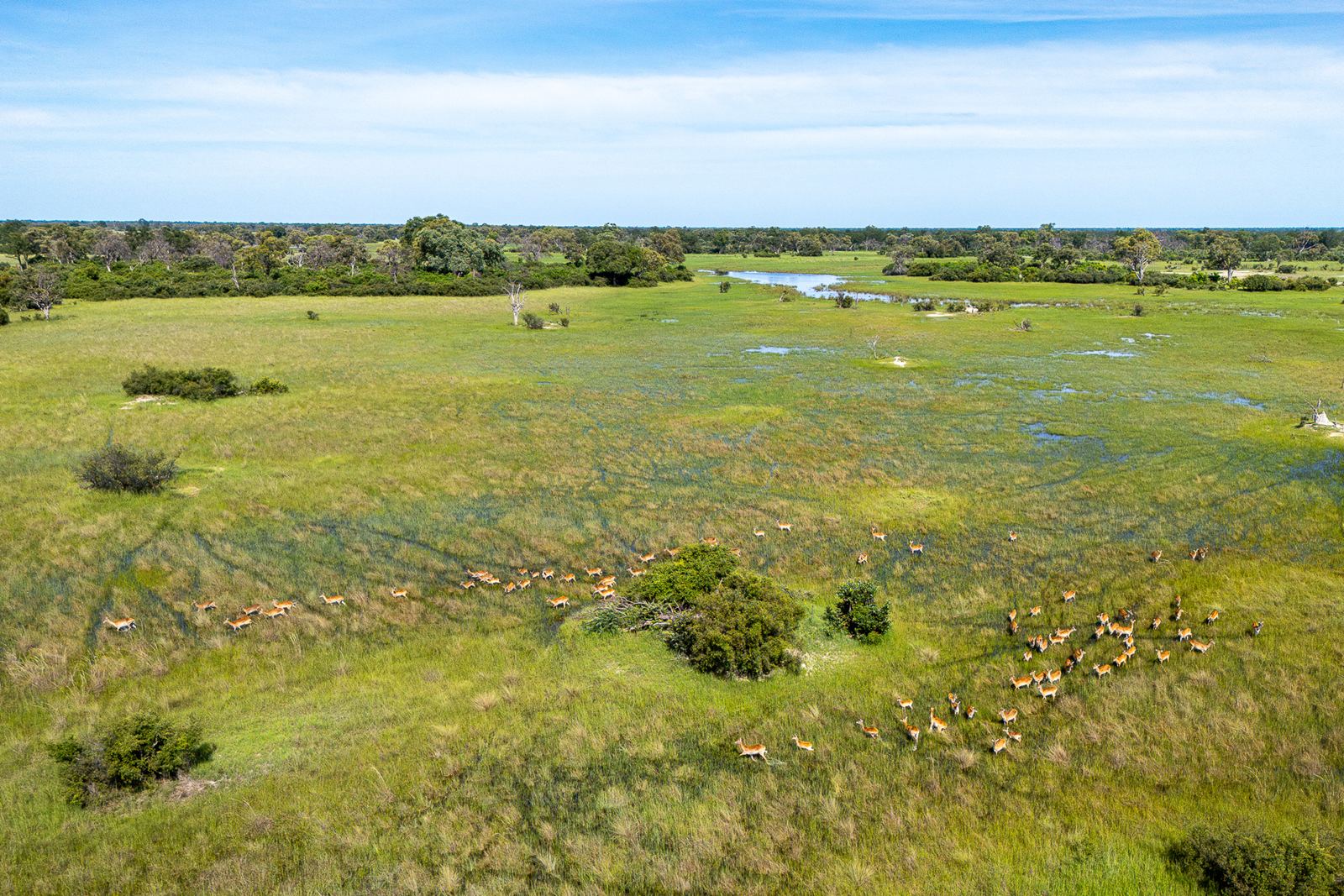 Karangoma en Delta Okavango