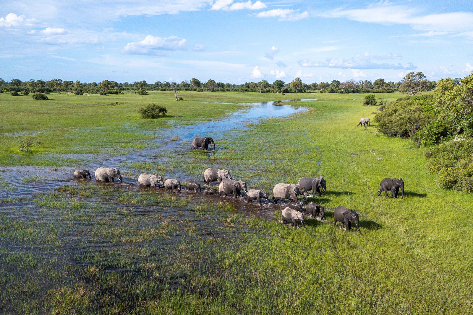 Karangoma en Delta Okavango