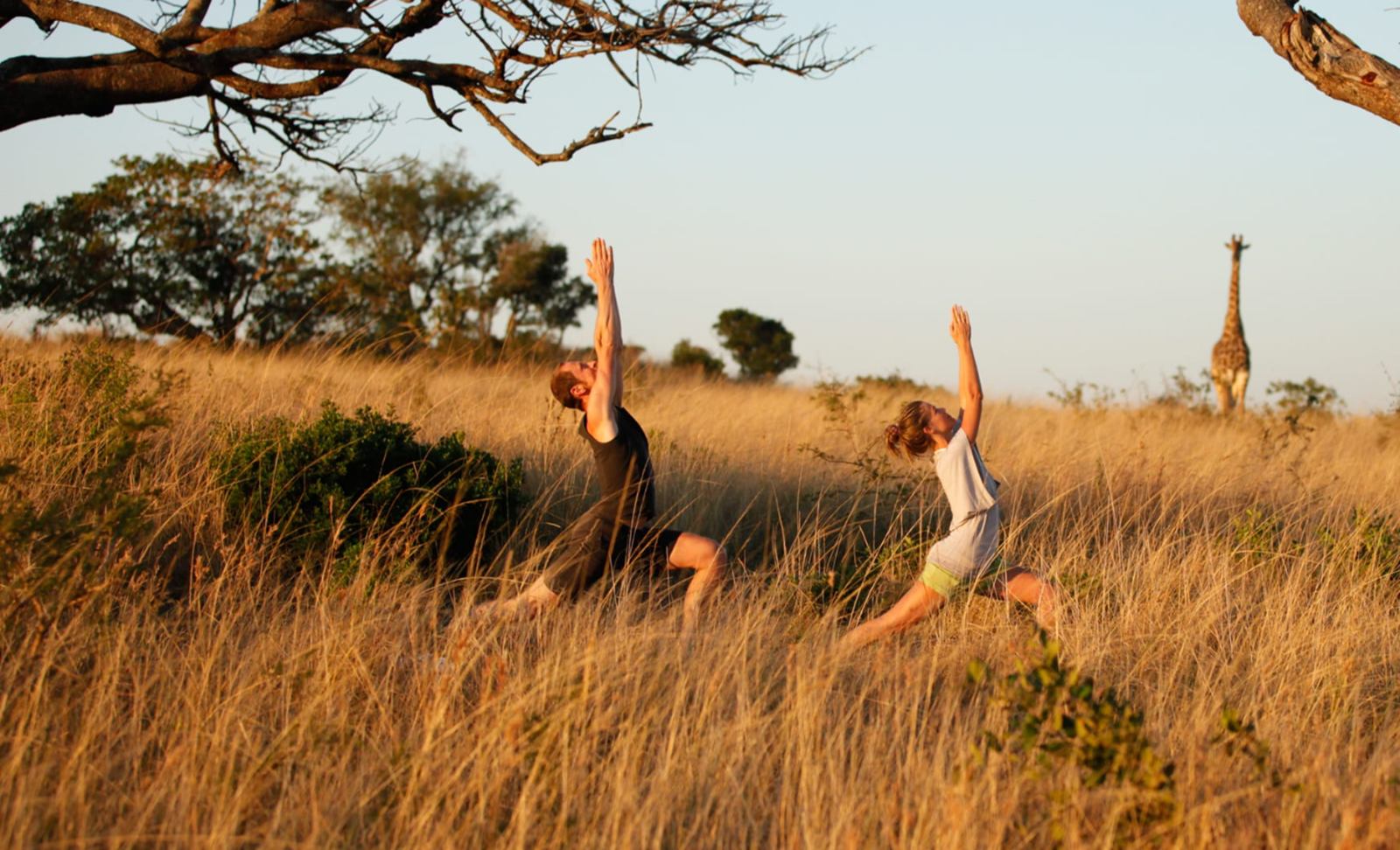 andBeyond Phinda Mountain Lodge en Phinda