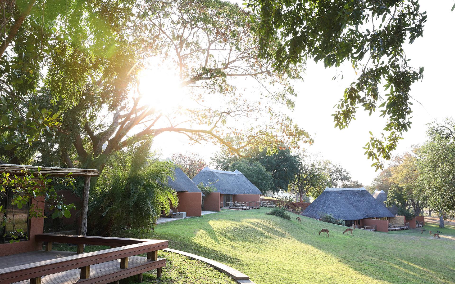 MalaMala Camp  en Sabi Sands
