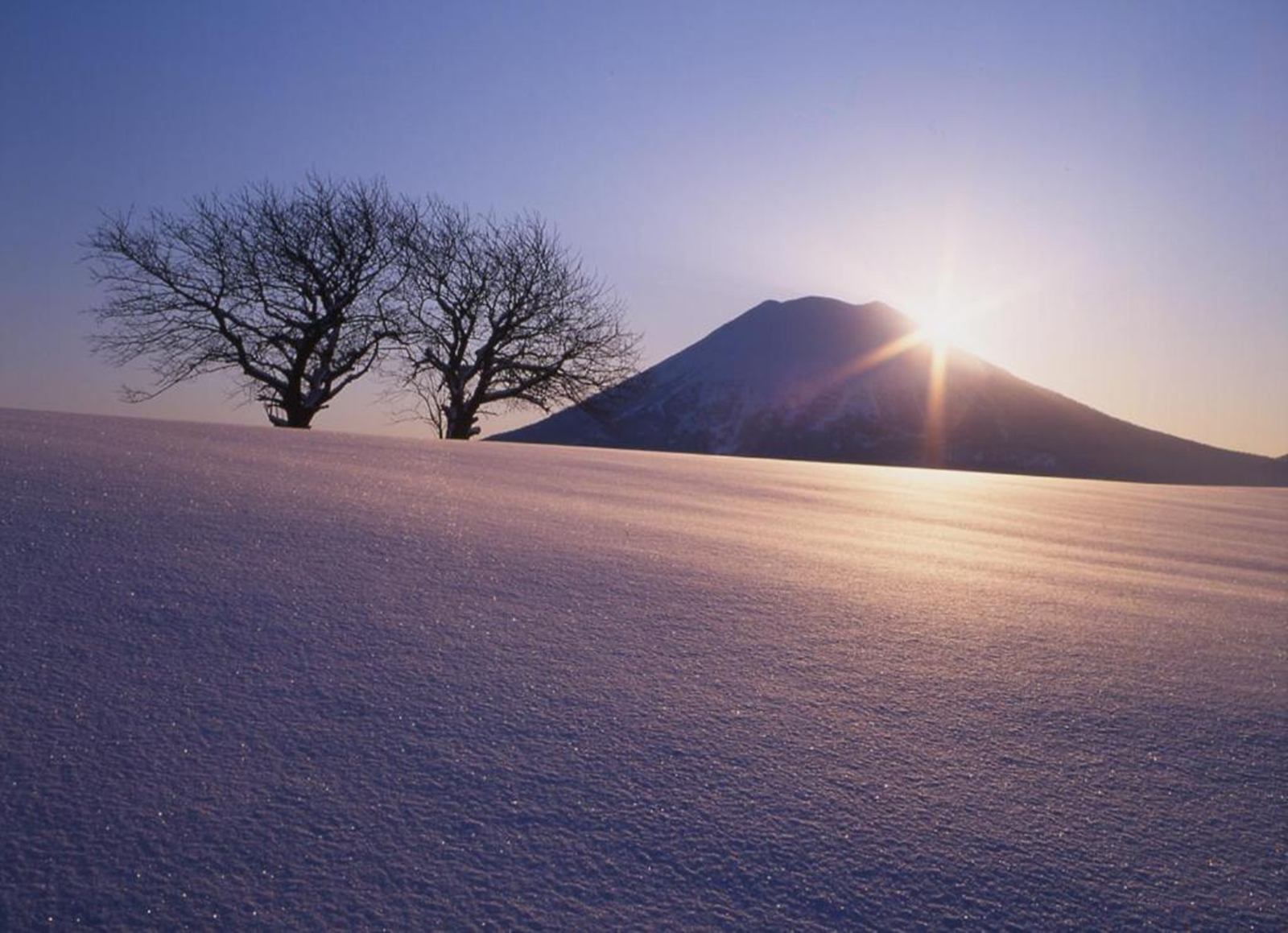 Yumoto Niseko Prince Hotel Hirafutei en Sapporo