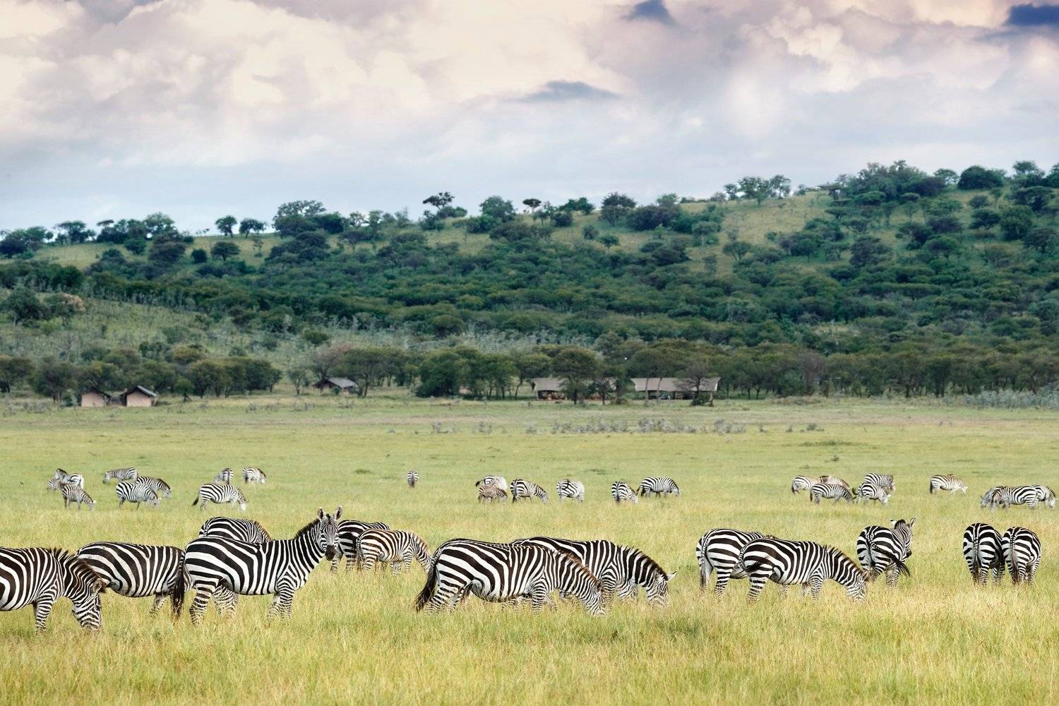 LABA Grumeti Art Lodge en Serengeti