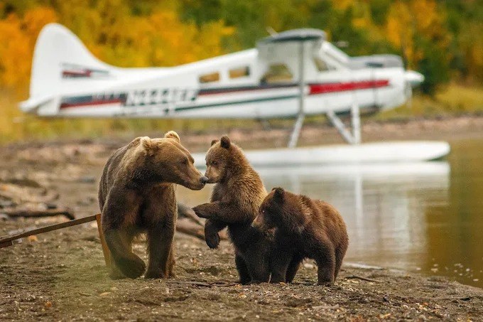 Stillpoint Lodge en Alaska