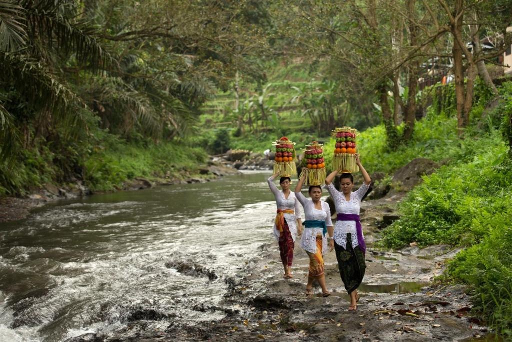 The Samaya Ubud en Ubud