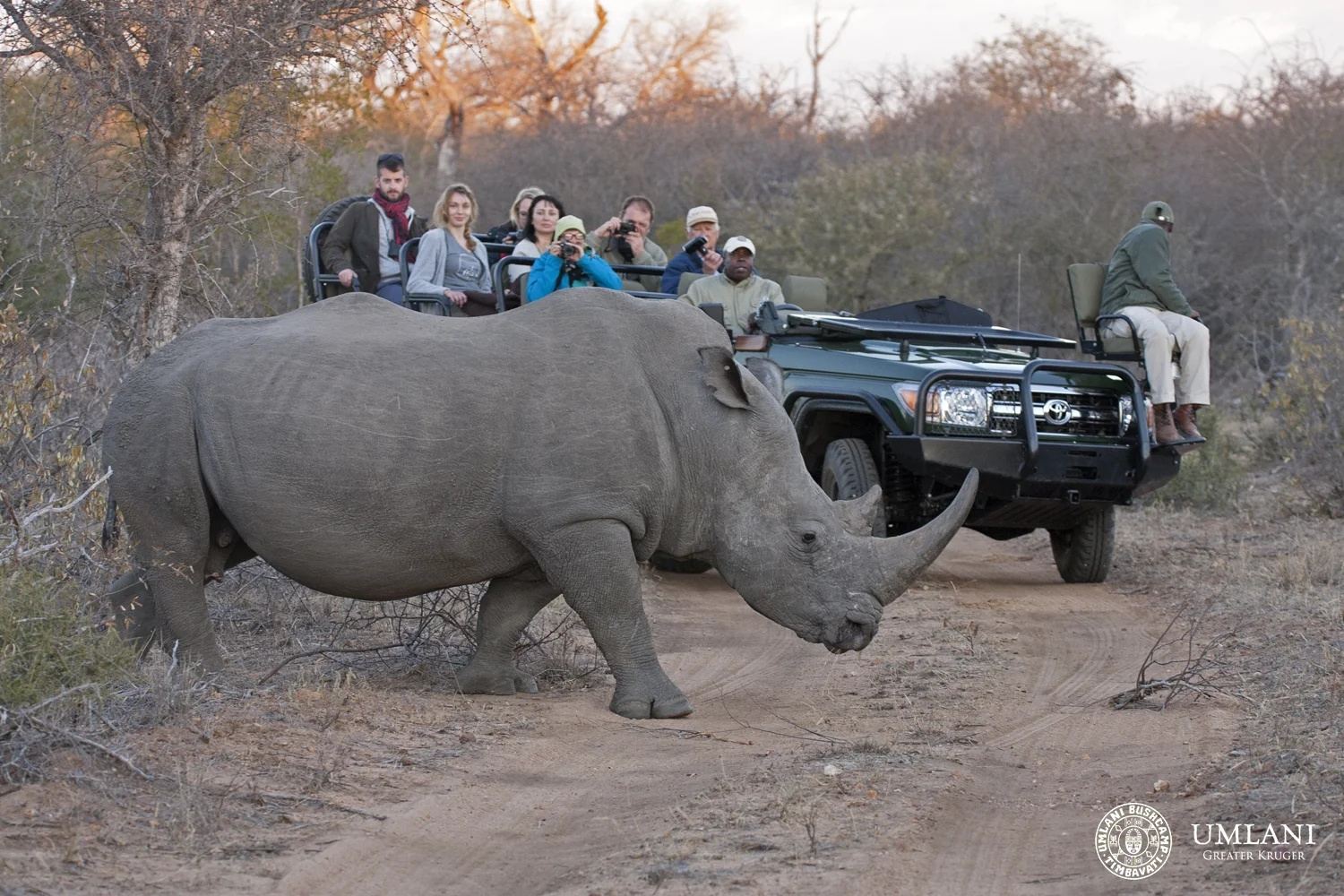 Umlani Bushcamp en Kruger National Park