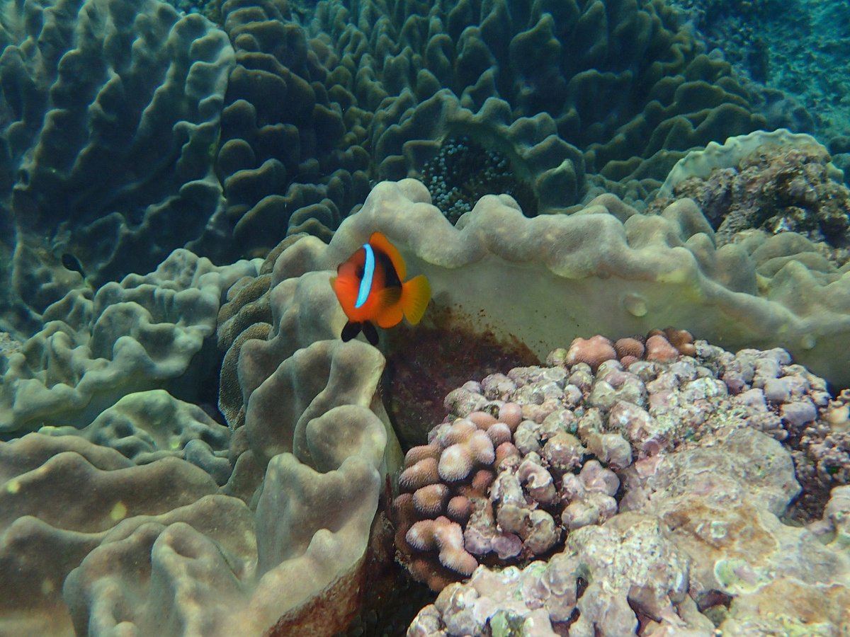 Eratap Beach Resort en Vanuatu