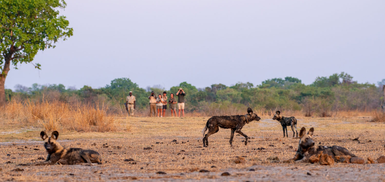 Big Lagoon Camp en Luangwa Valley