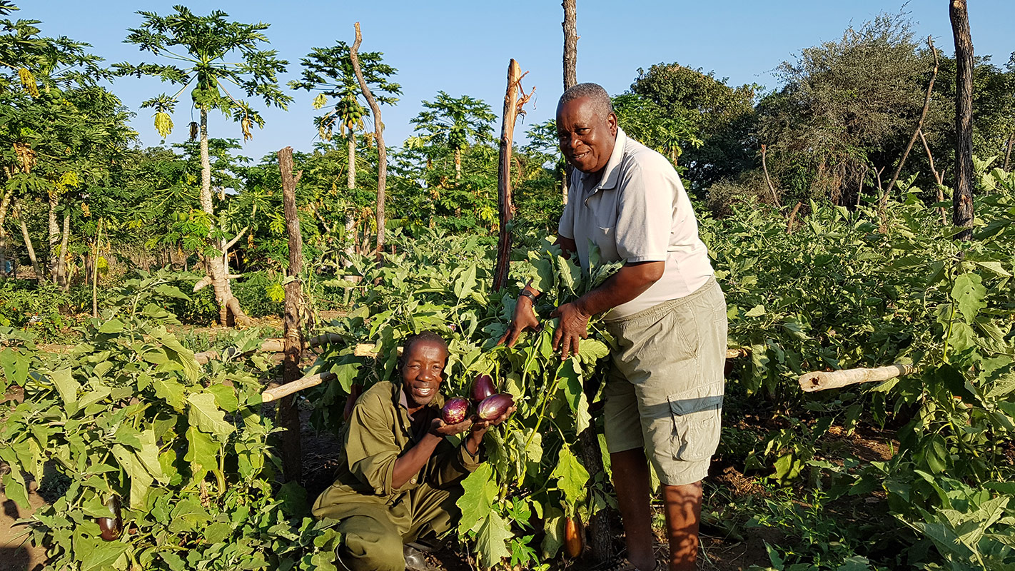 Big Lagoon Camp en Luangwa Valley