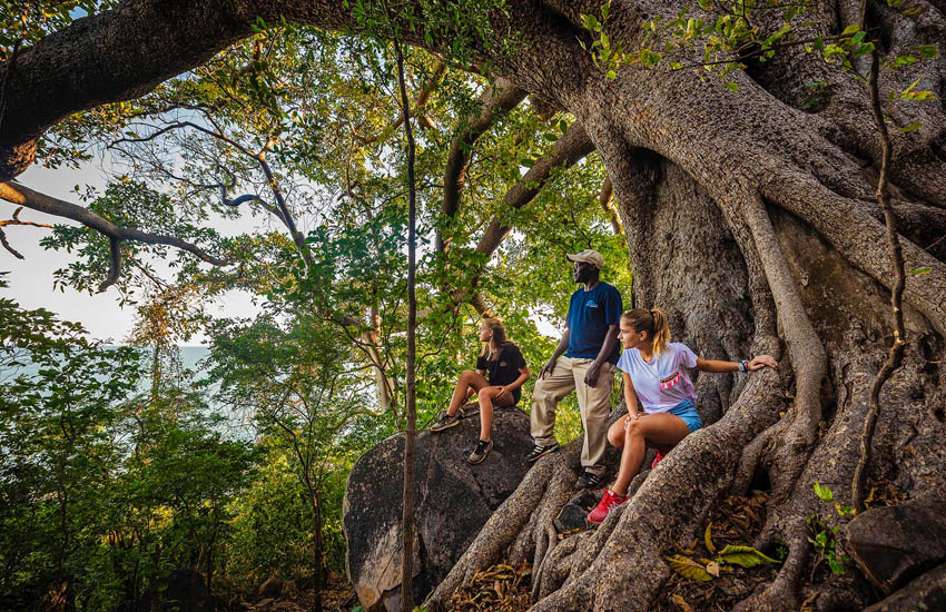 Blue Zebra Island Lodge en Parque Nacional del Lago Malawi