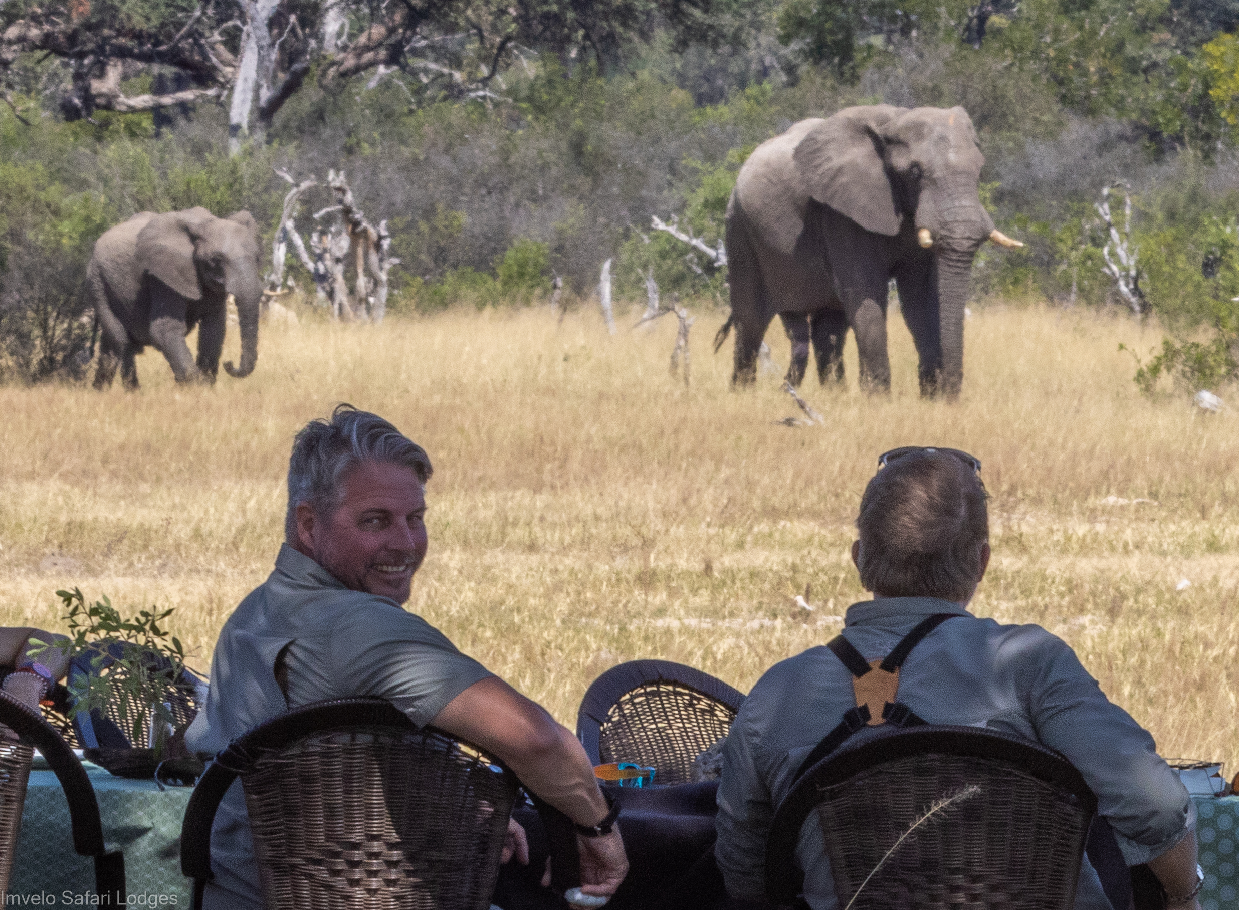 Bomani Tented Lodge en Hwange