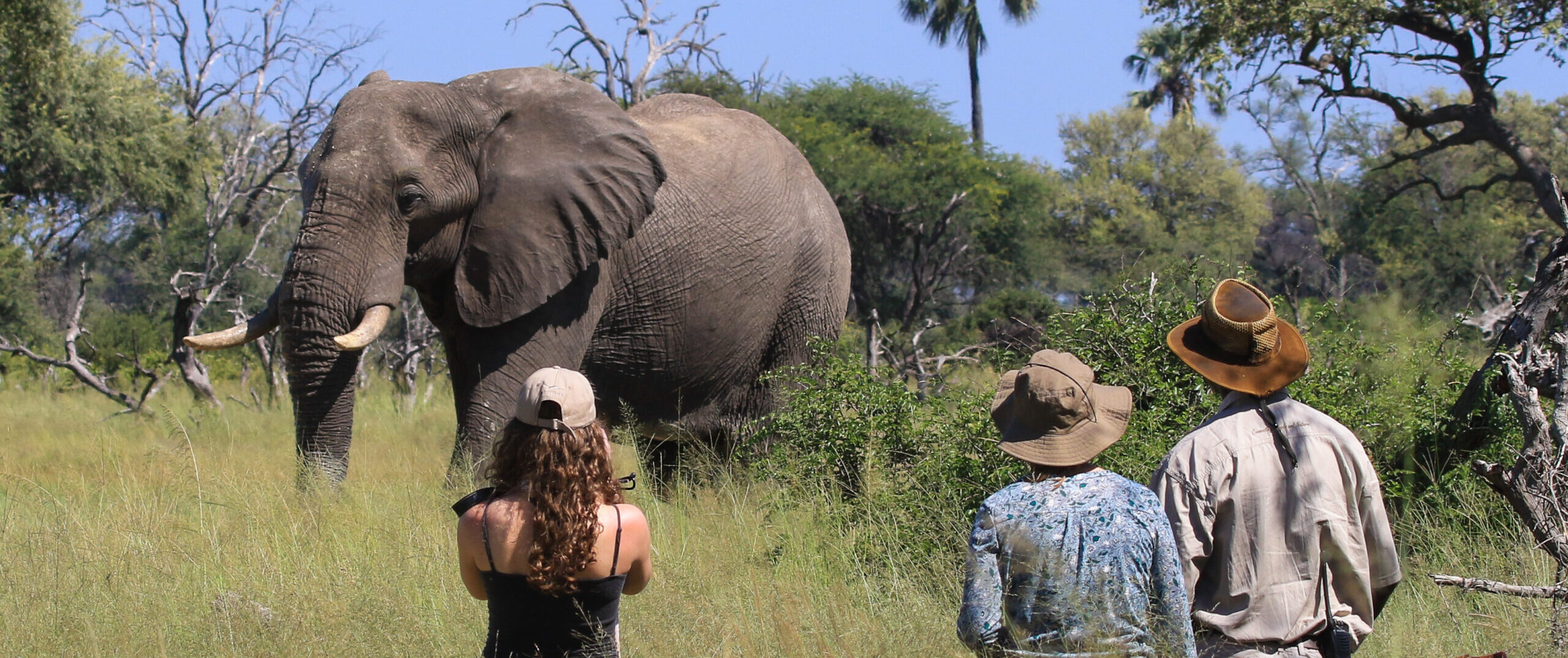 Bomani Tented Lodge en Hwange