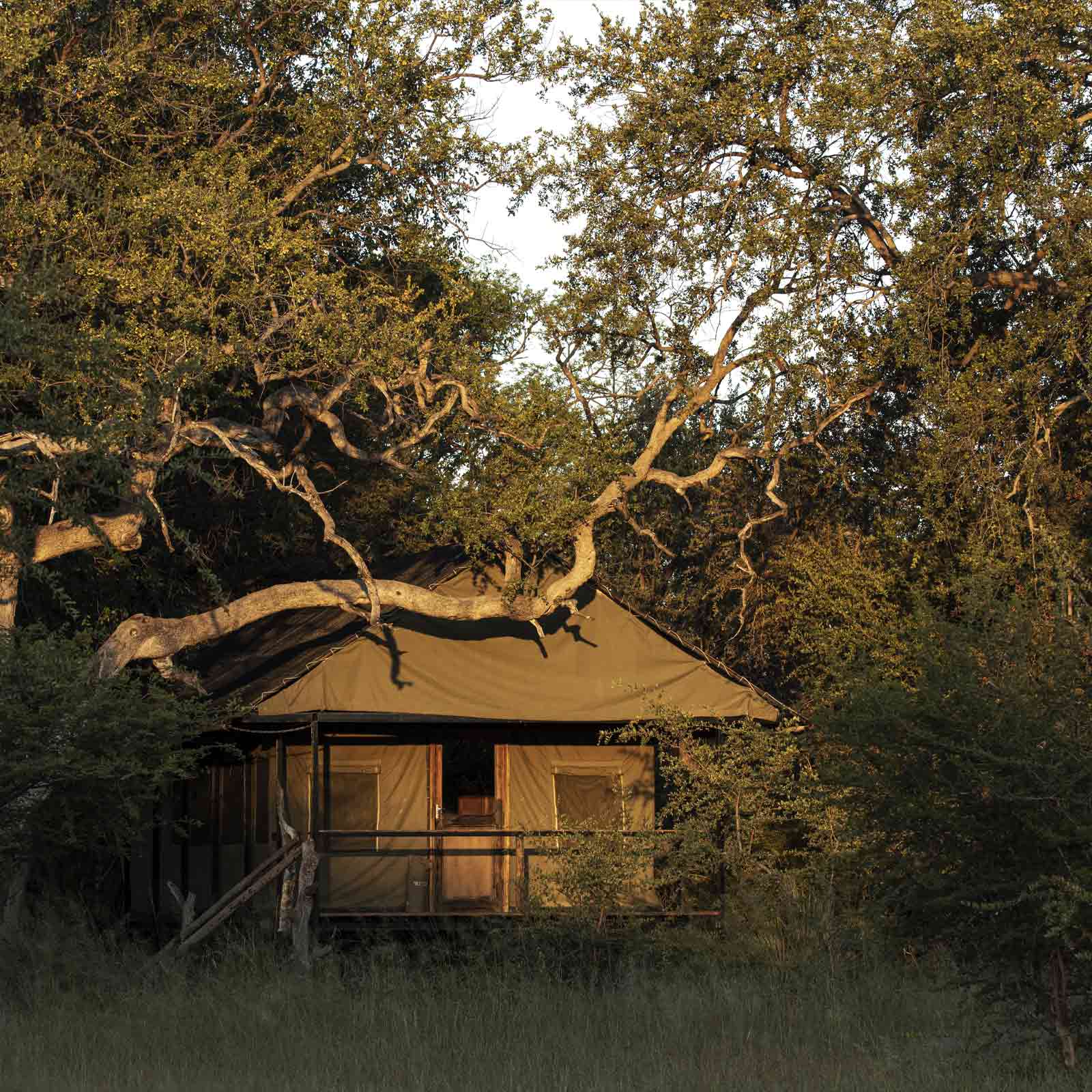 Bomani Tented Lodge en Hwange