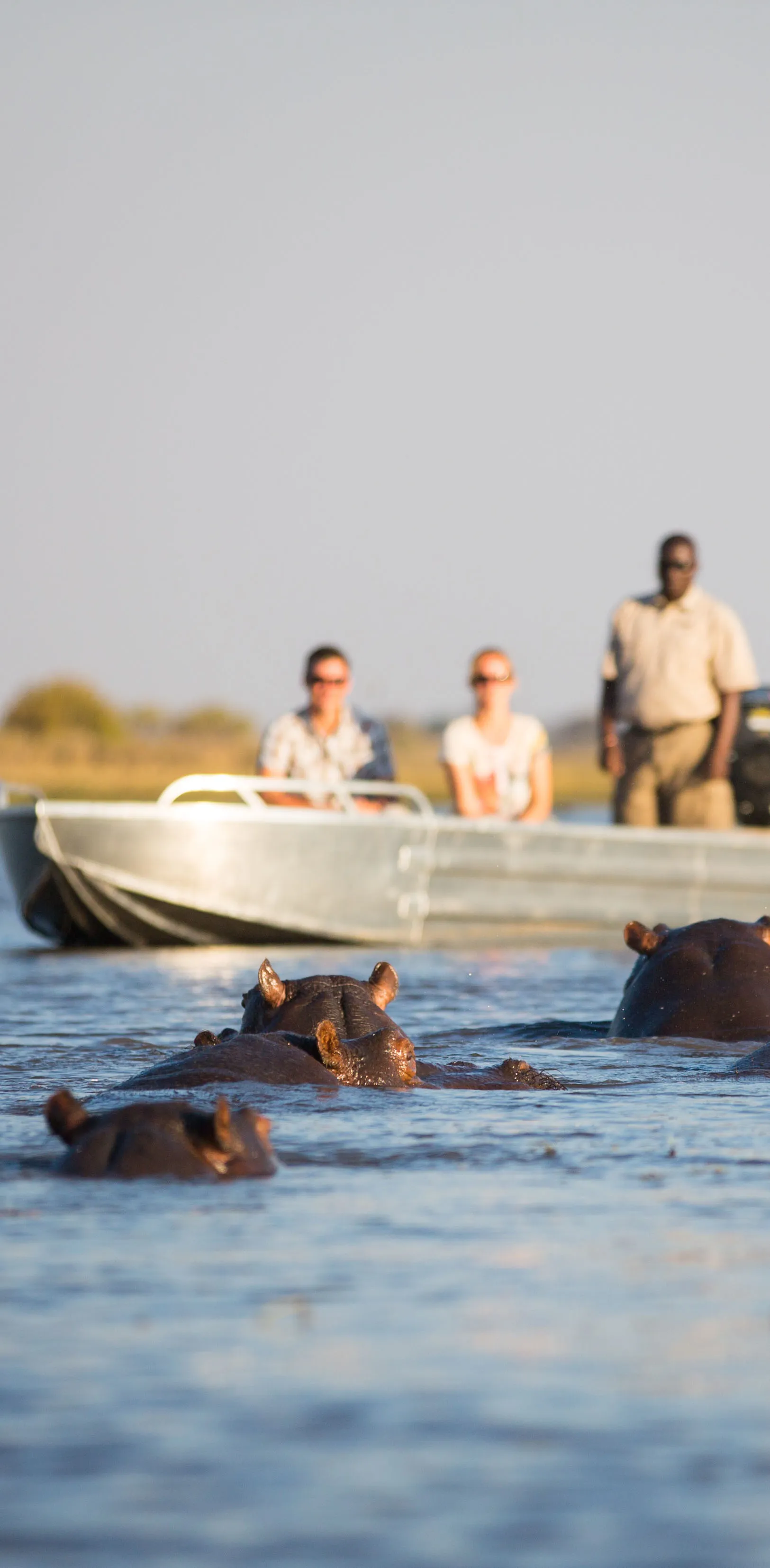 Busanga Bush Camp en Busanga Plains