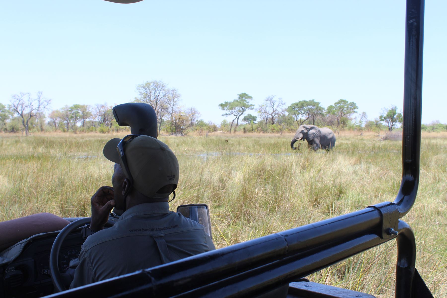 Bushmen Plains – Camp Ola en Delta Okavango