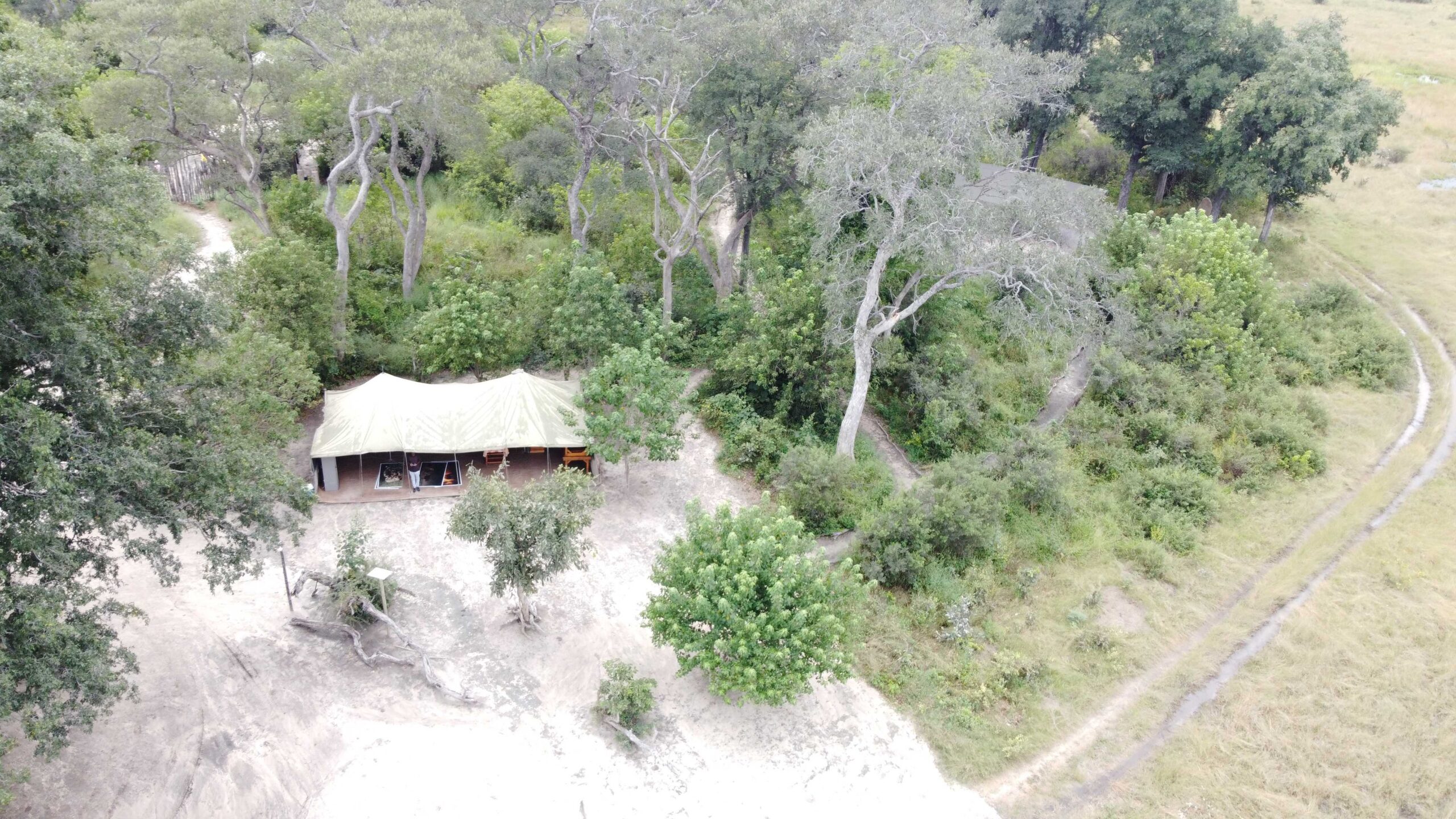 Bushmen Plains – Camp Ola en Delta Okavango