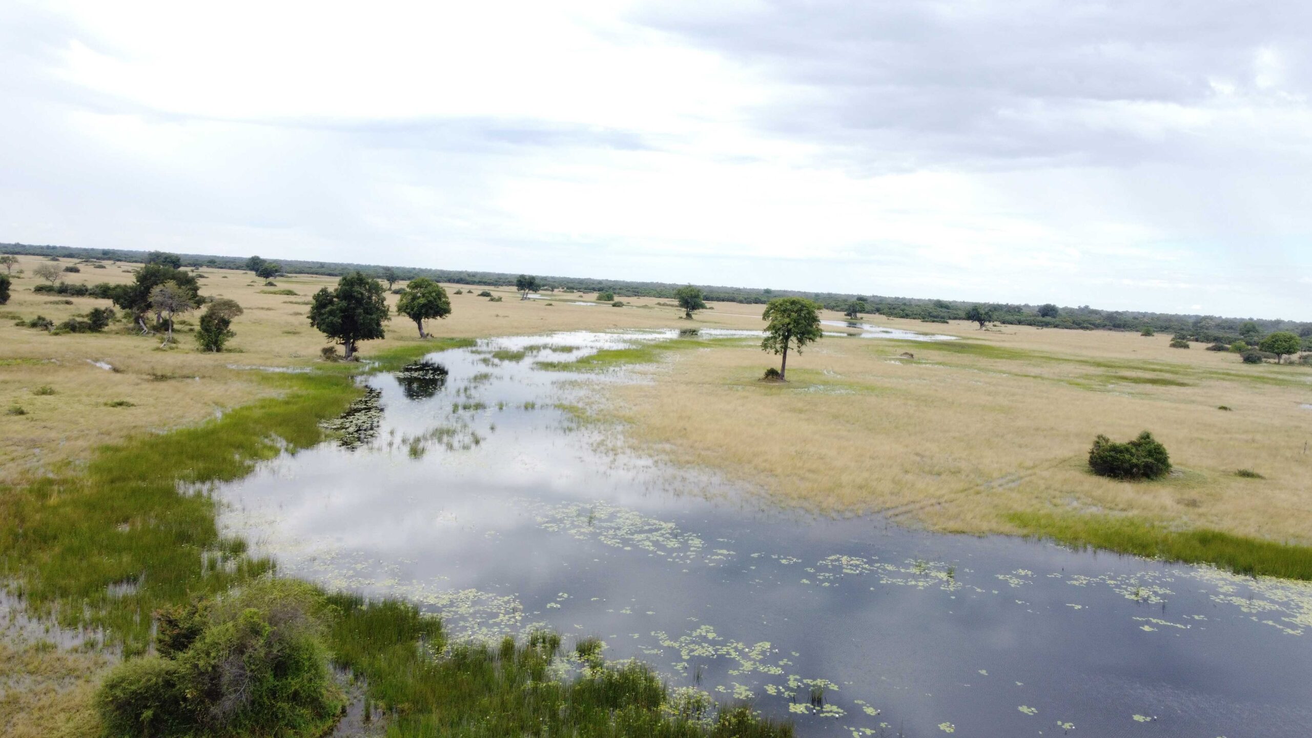 Bushmen Plains – Camp Ola en Delta Okavango
