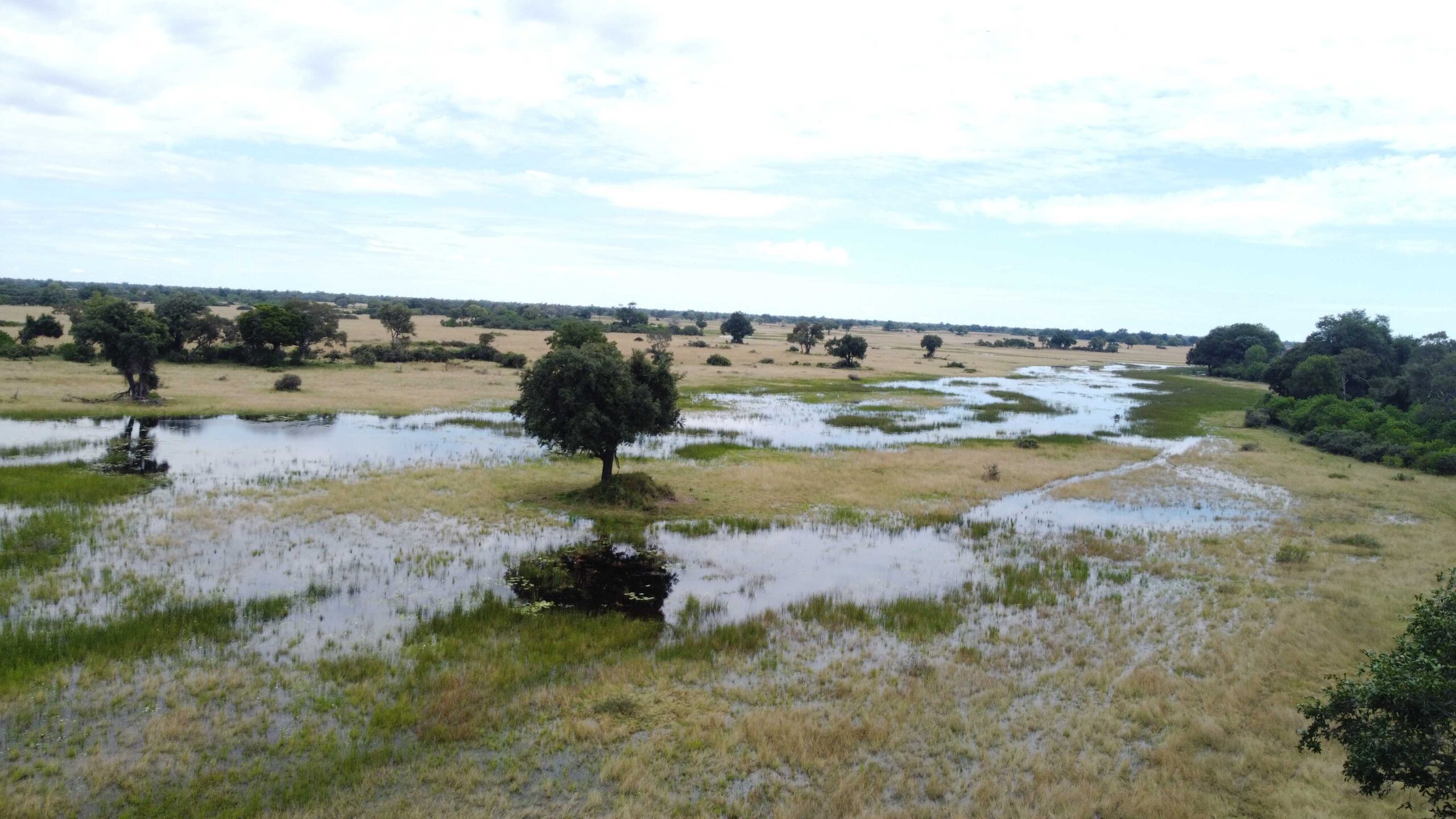 Bushmen Plains – Camp Ola en Delta Okavango