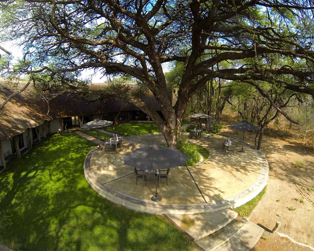 Camelthorn Lodge en Hwange