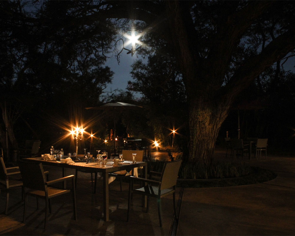 Camelthorn Lodge en Hwange