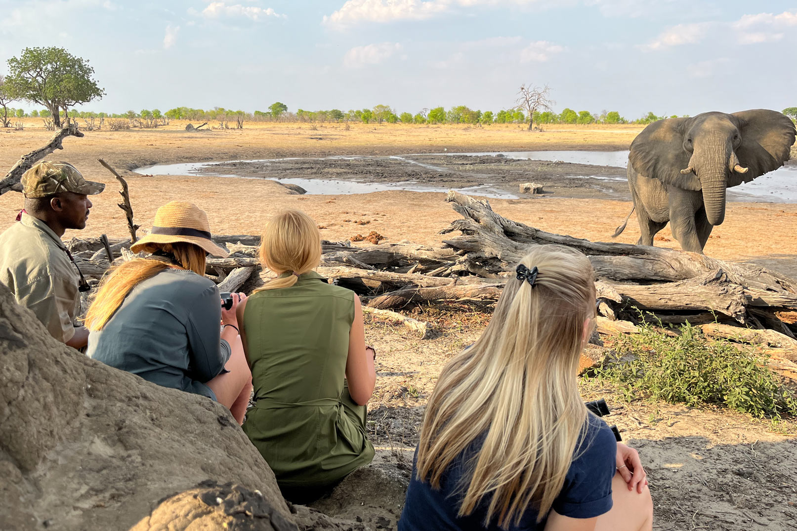 Camp Hwange en Hwange