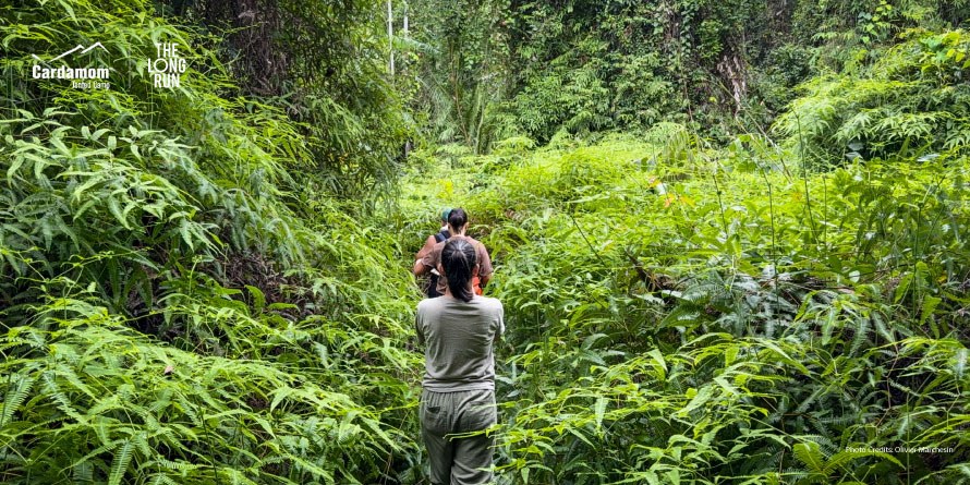 Cardamom Tented Camp en Botum Sakor National Park