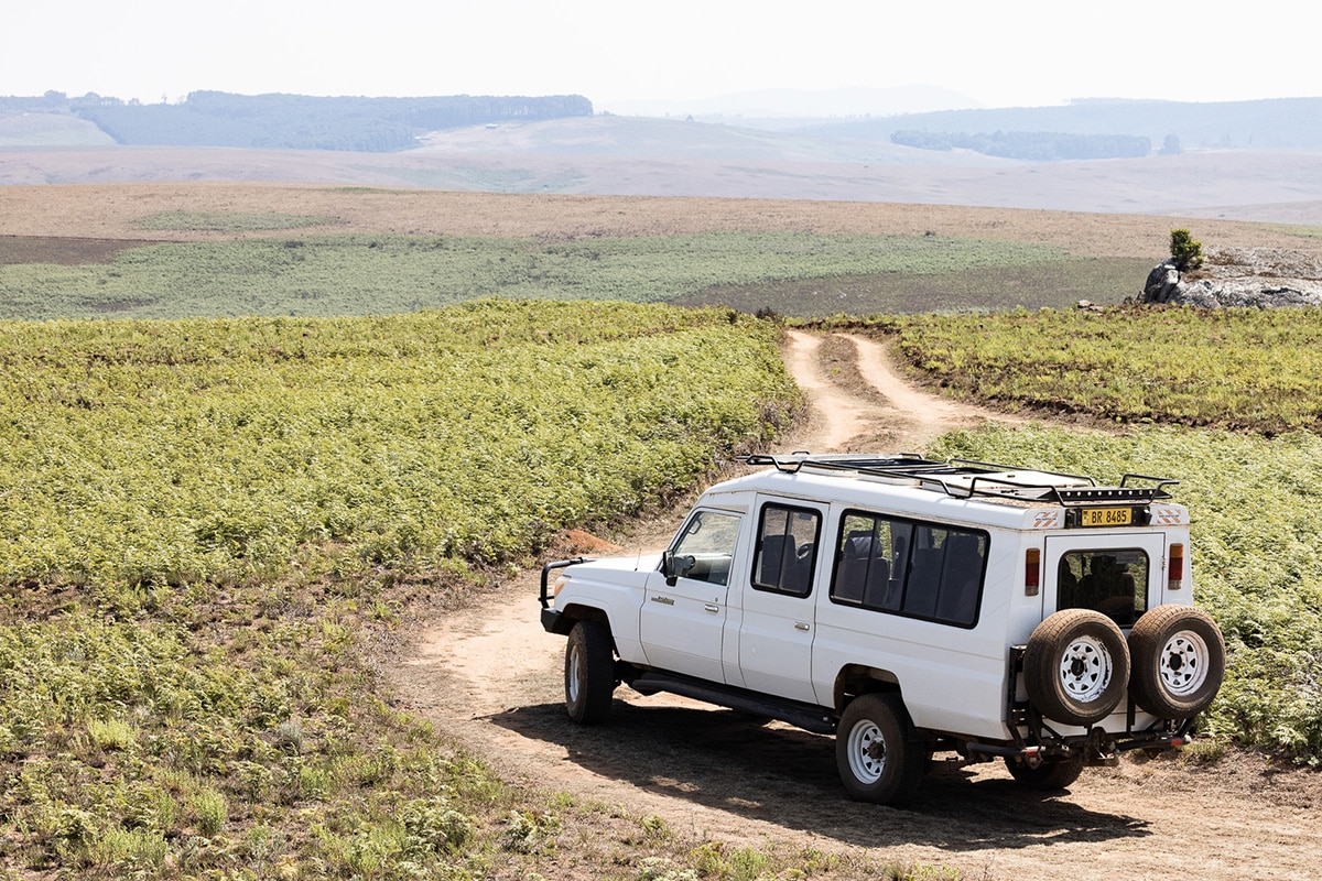 Chelinda Lodge en Parque Nacional de Nyika