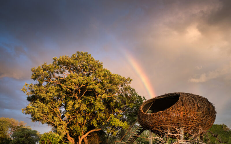 Chisa Busanga Camp en Busanga Plains