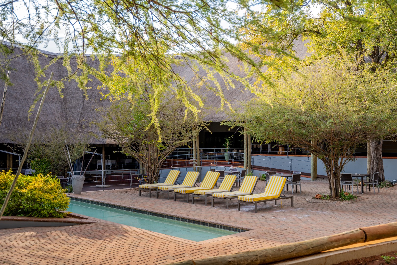 Chobe Bush Lodge en Chobe