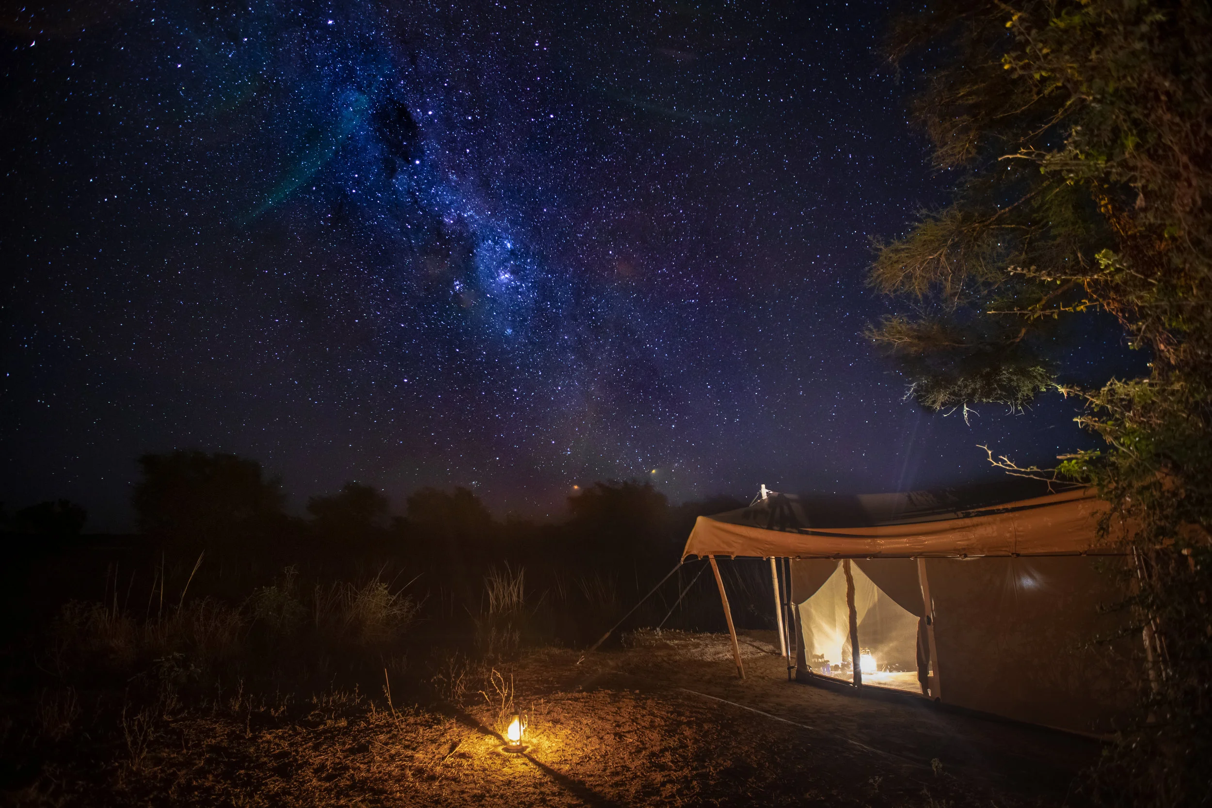 Stars+and+camp