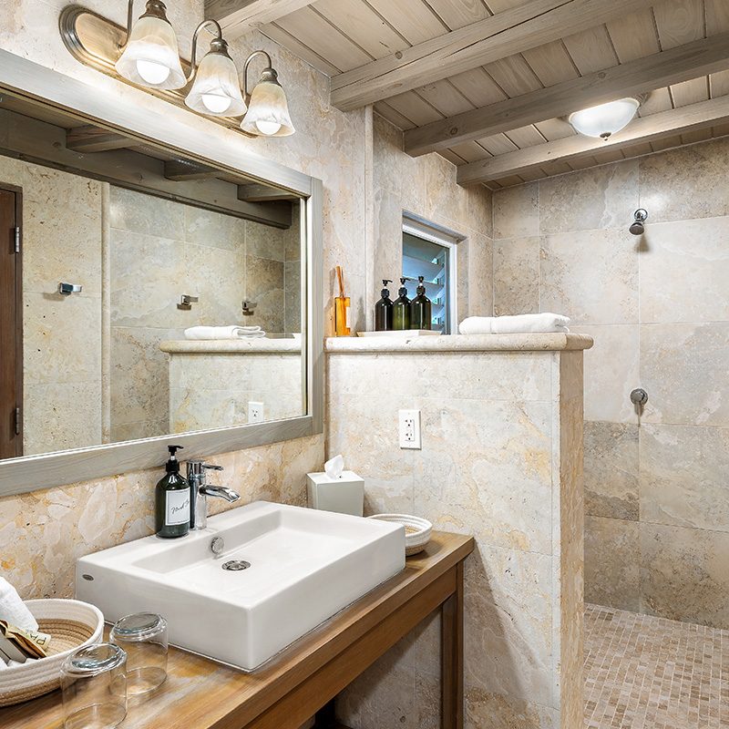Guests bathrooms