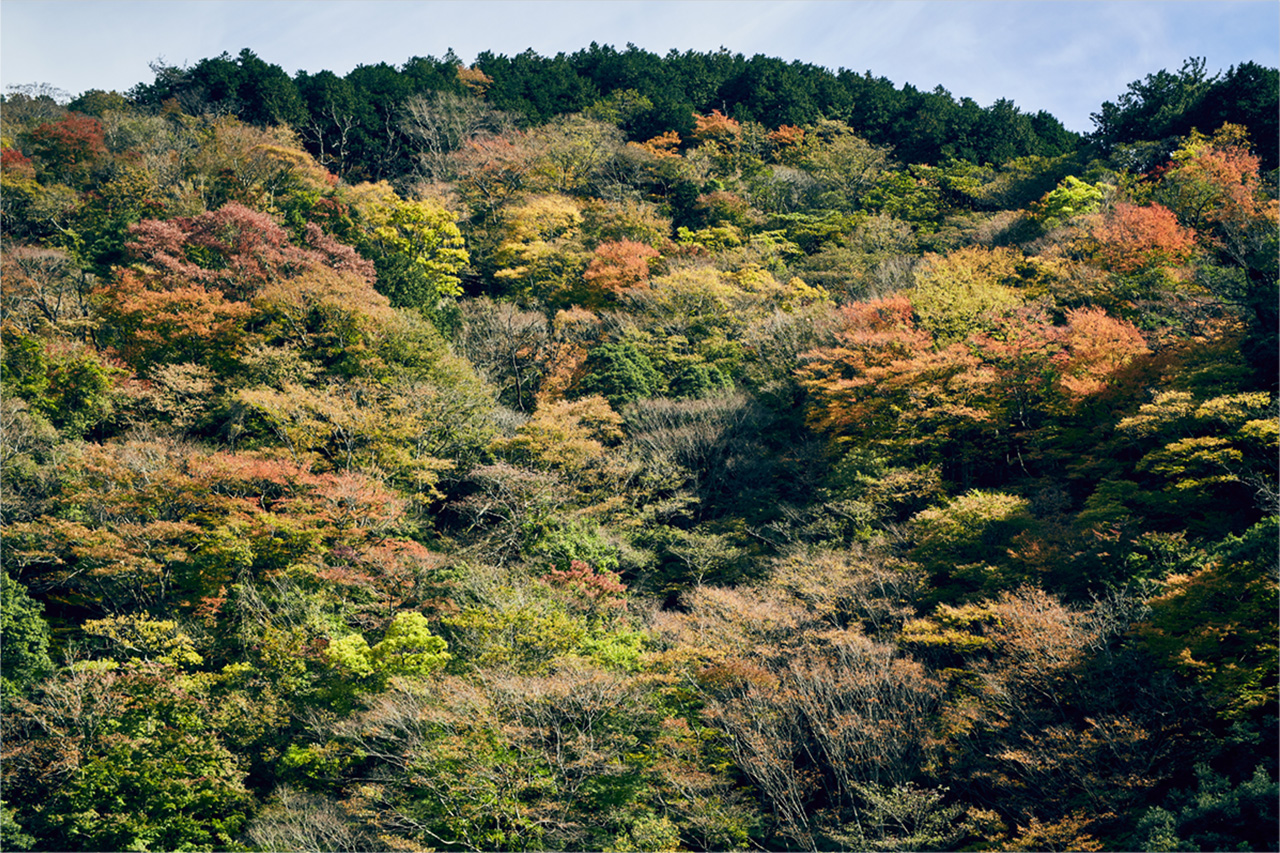 ESPACIO The Hakone Geihinkan Rin-Poh-Ki-Ryu en Hakone