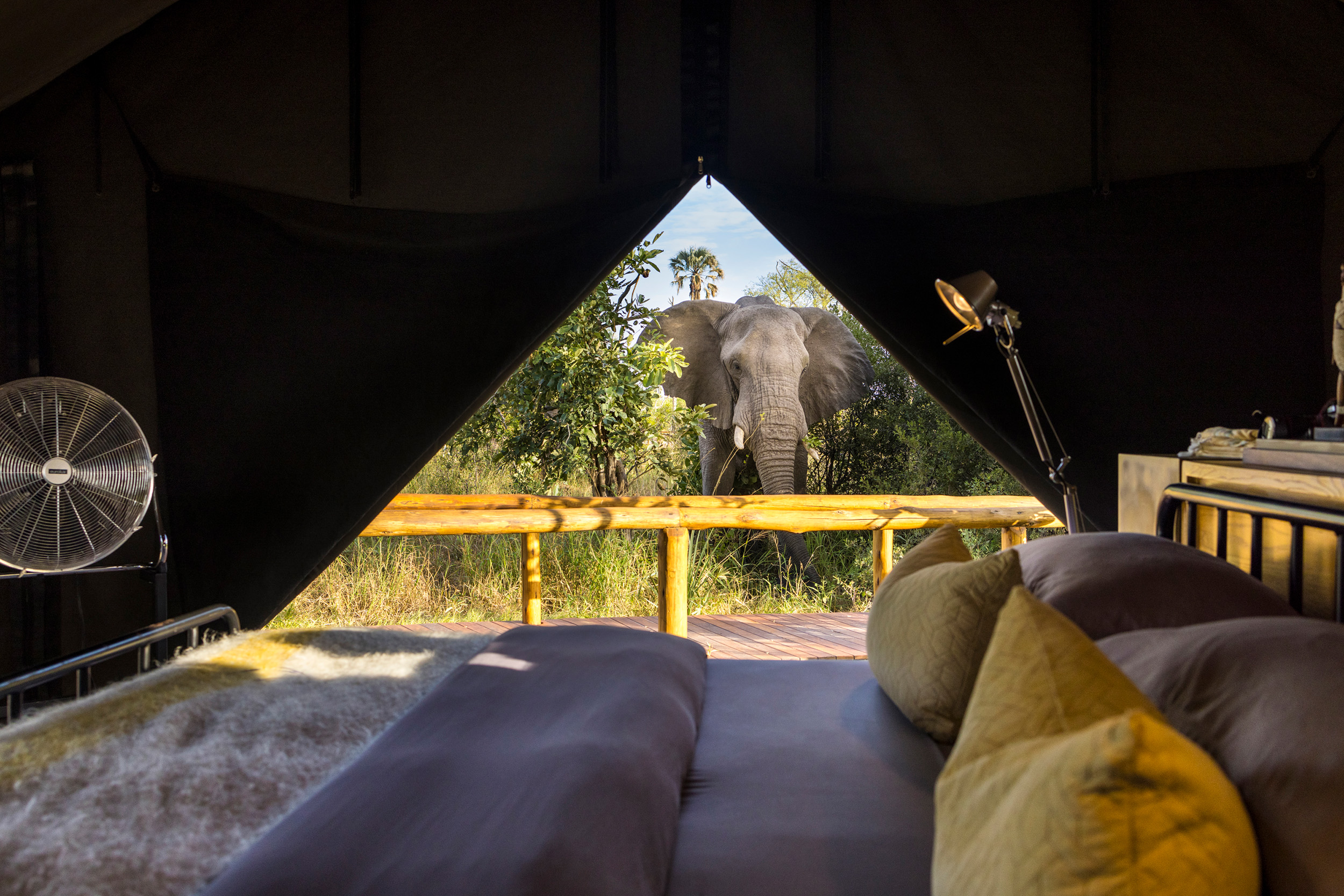 Machaba safaris botswana gomoti camp room wildlife from tent