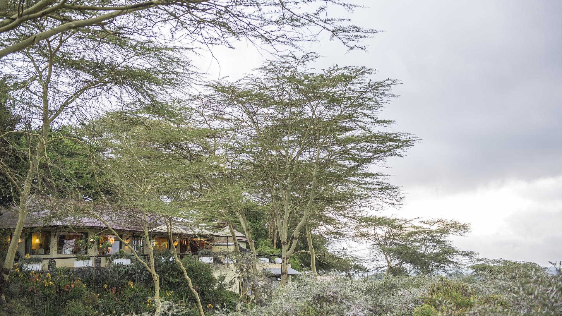 Hatari Lodge en su destino