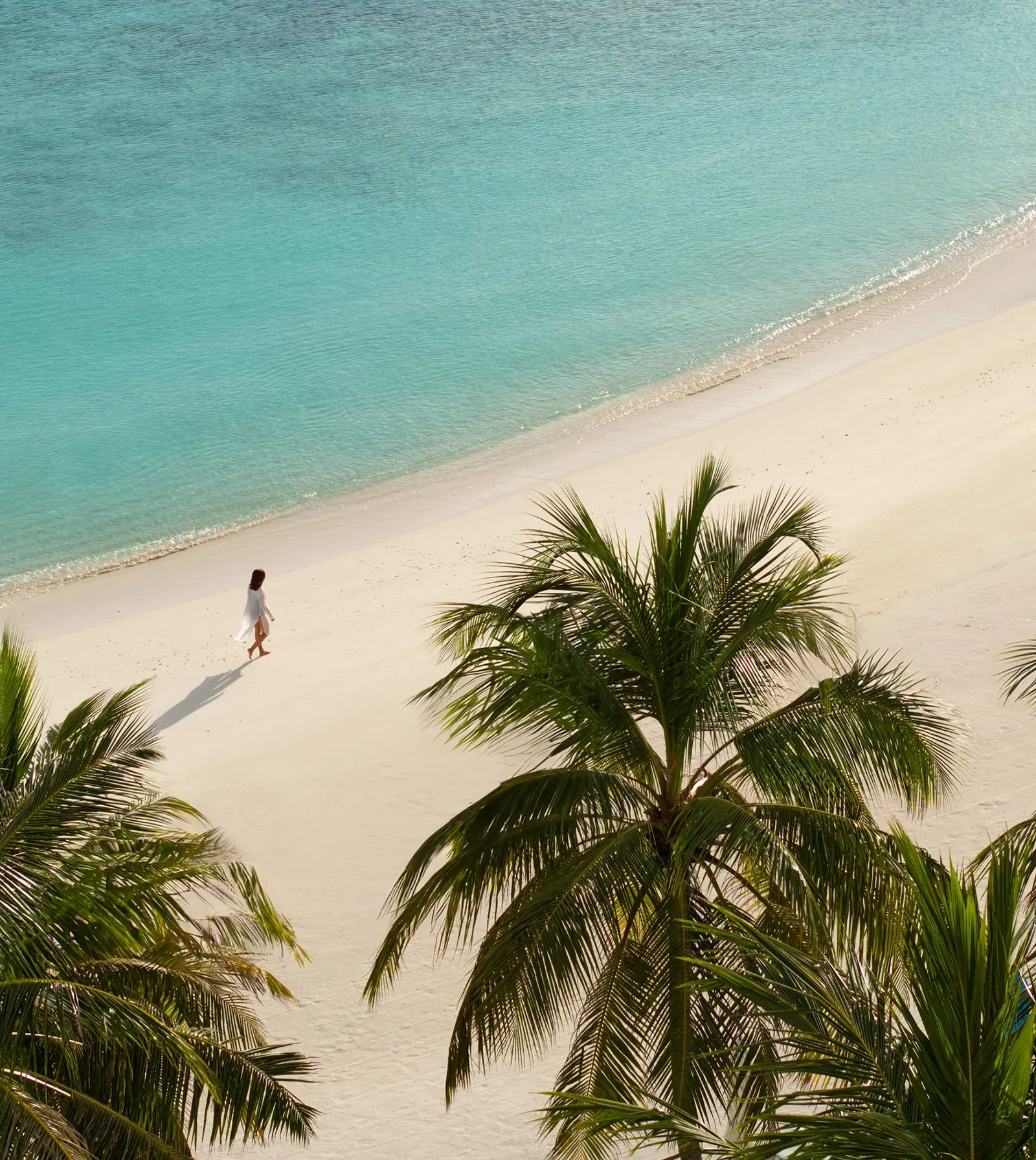 .Here Baa Atoll Maldives en su destino
